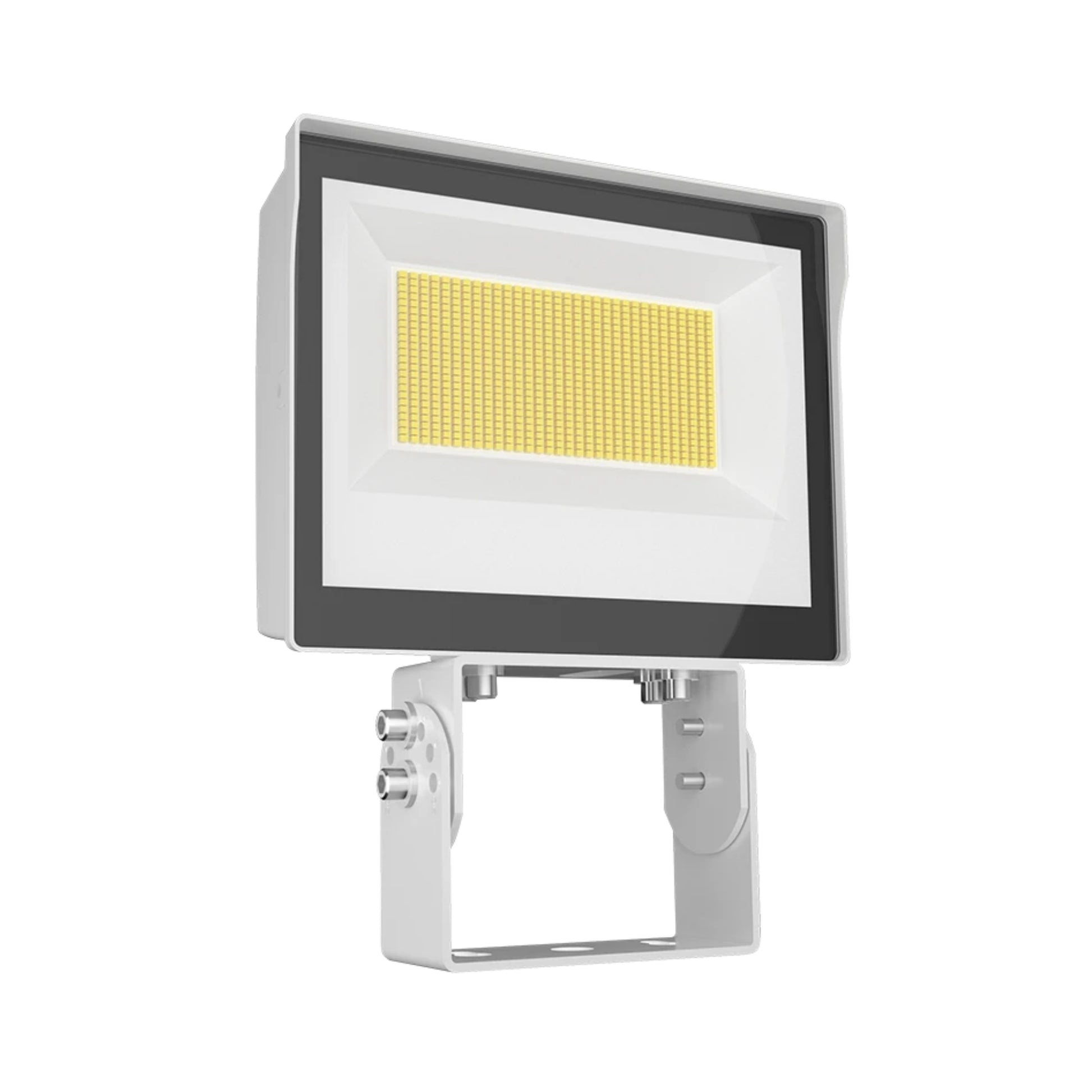 RAB X17 Flood Light, 2-Way Field-Adjustable, Trunnion Mount - Bees Lighting