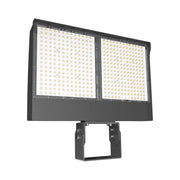 RAB X17 Flood Light, 3-Way Field-Adjustable, Trunnion Mount - Bees Lighting