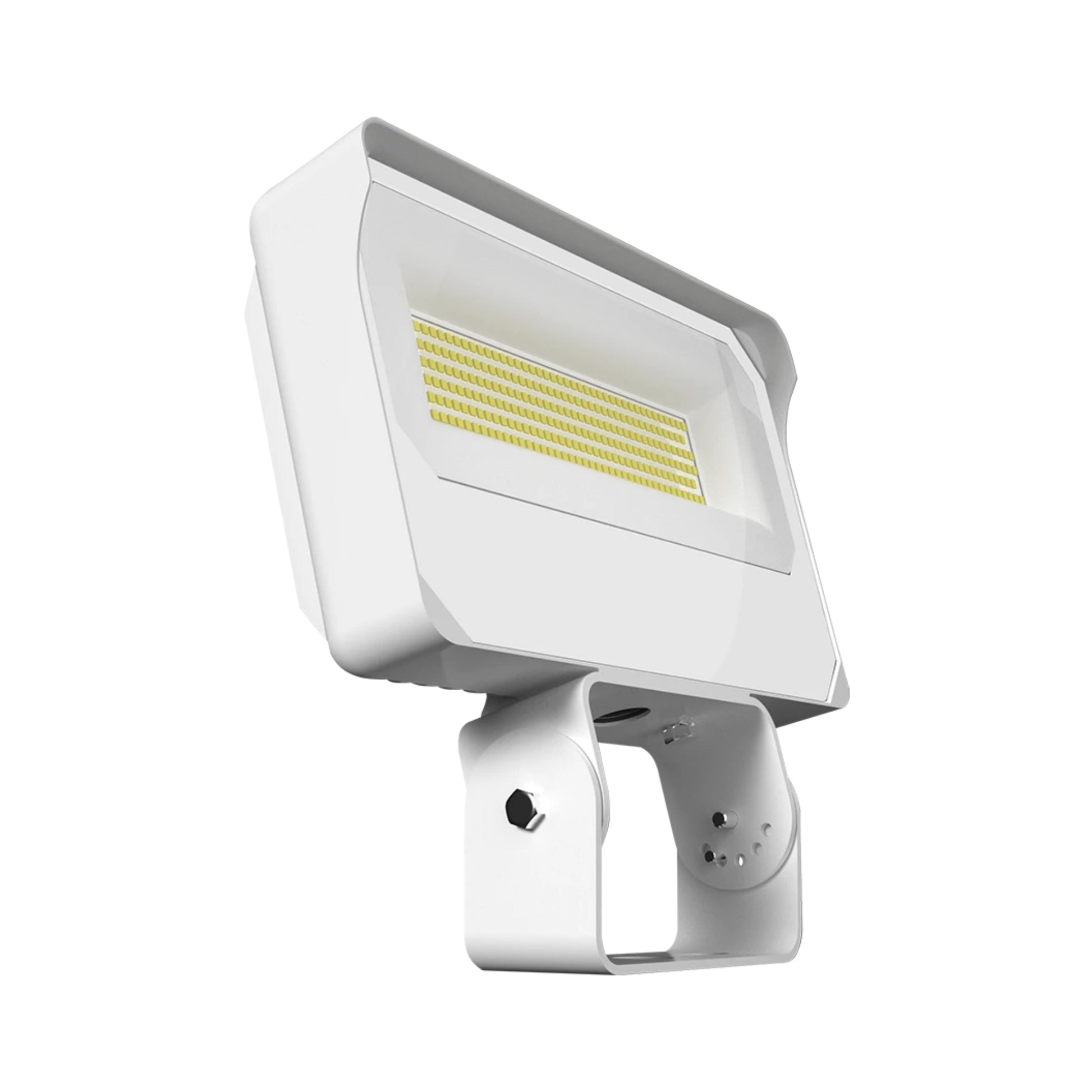 RAB X34 Field Adjustable Flood Light, Trunnion Mount - Bees Lighting