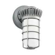 RAB Jelly Jar Vapor Tight Light - Bees Lighting