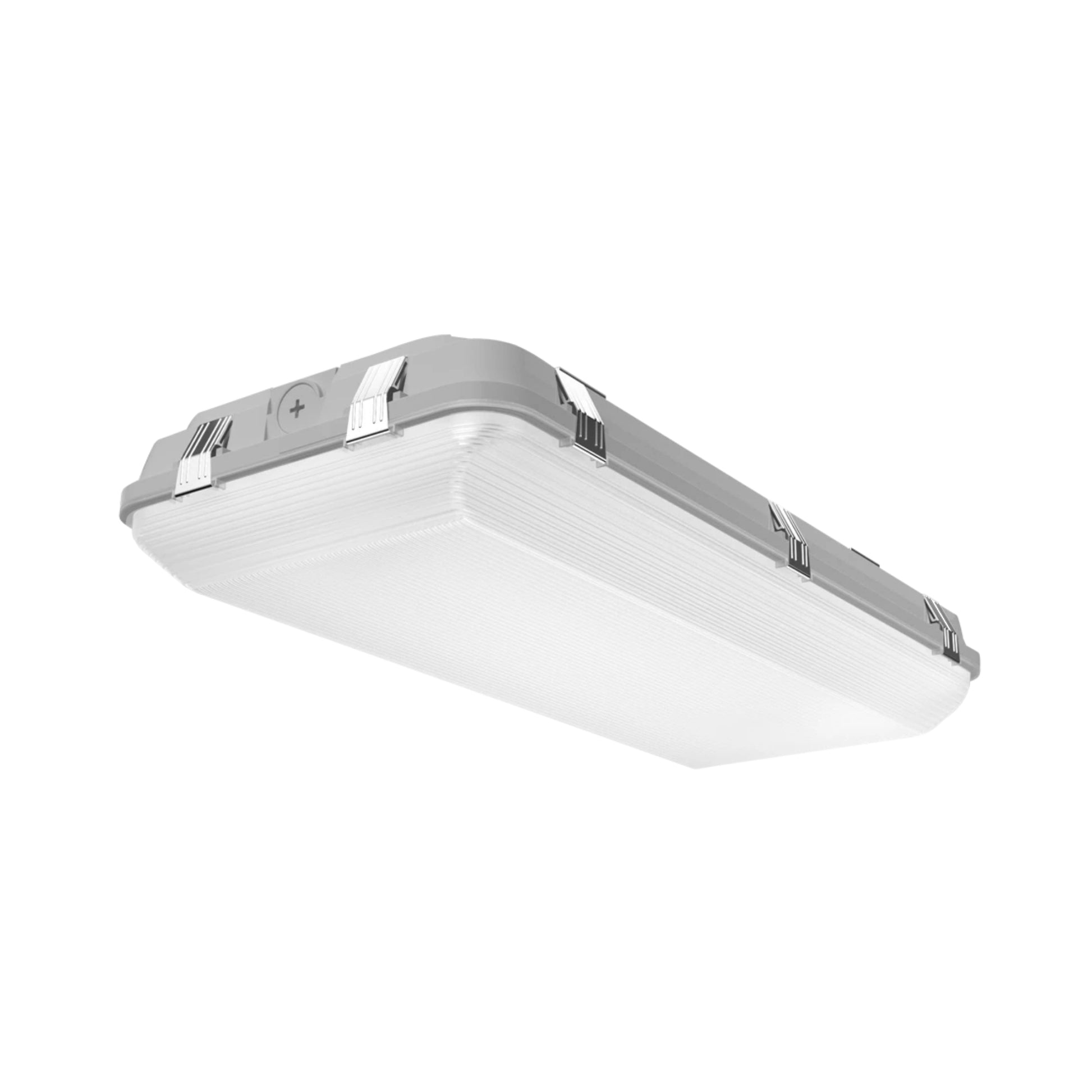 RAB WHALE Field Adjustable Washdown - Bees Lighting