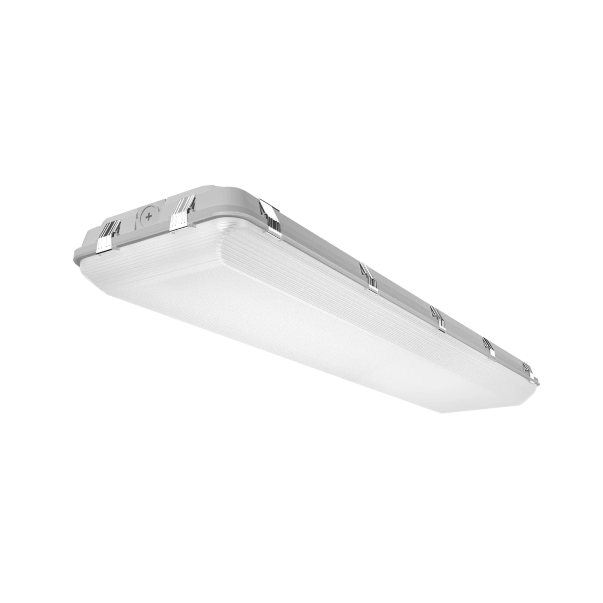 RAB WHALE Field Adjustable Washdown - Bees Lighting