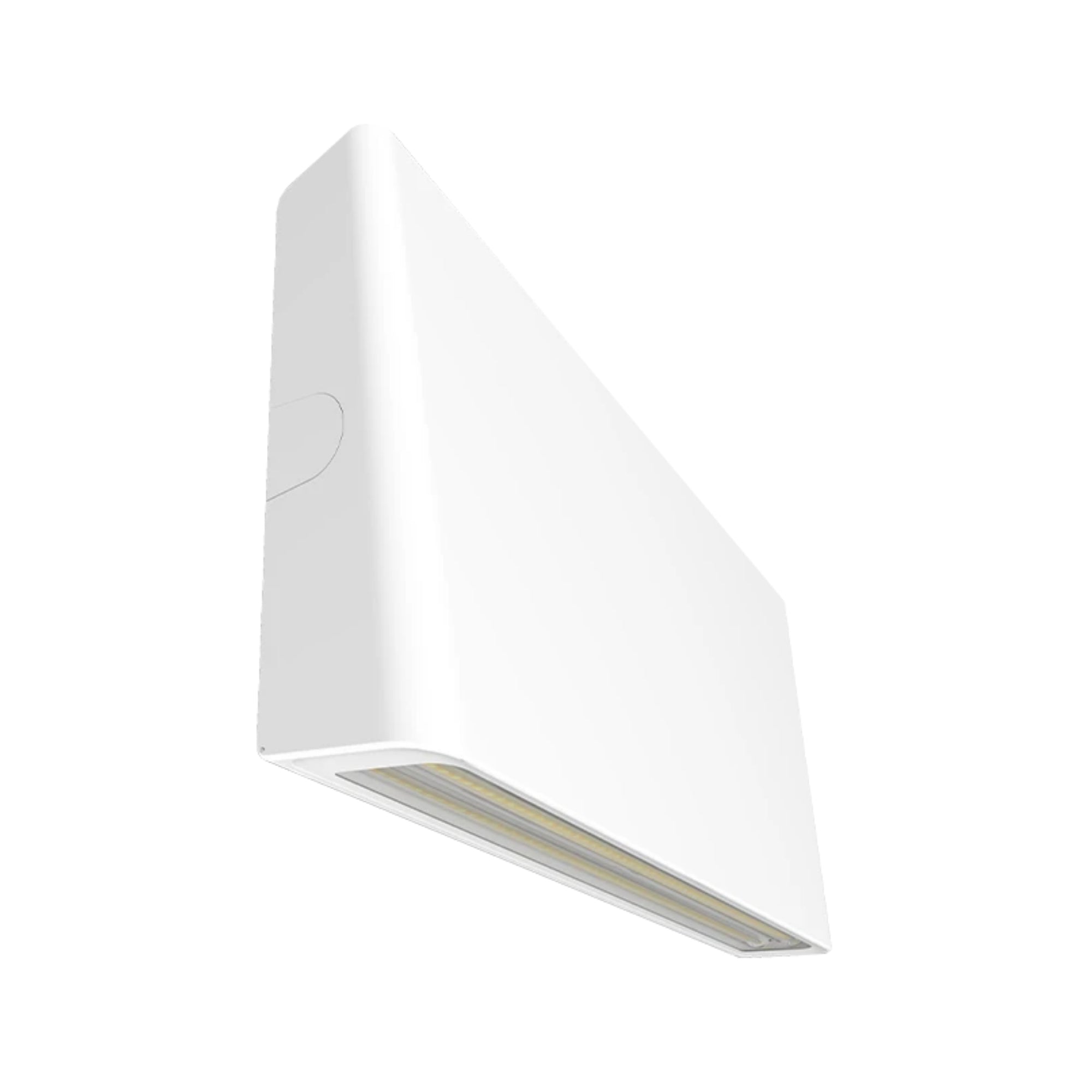 RAB SLIM Field-Adjustable Wall Pack, w/Adjustable Throw - Bees Lighting