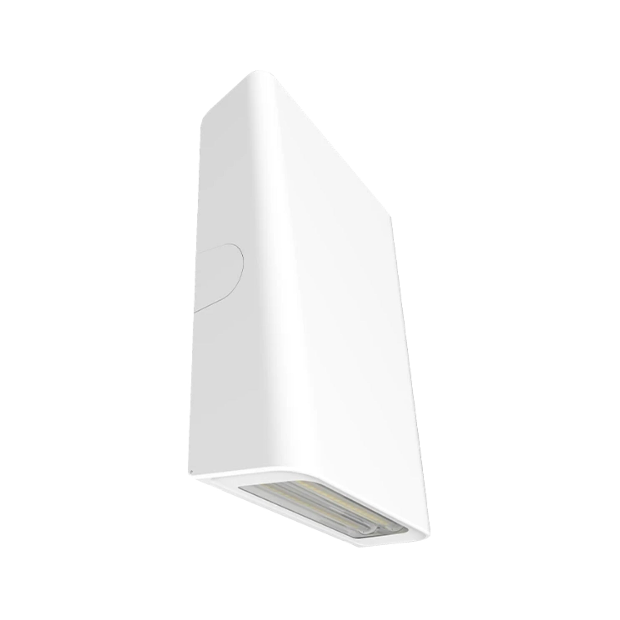 RAB SLIM Field-Adjustable Wall Pack, w/Adjustable Throw - Bees Lighting