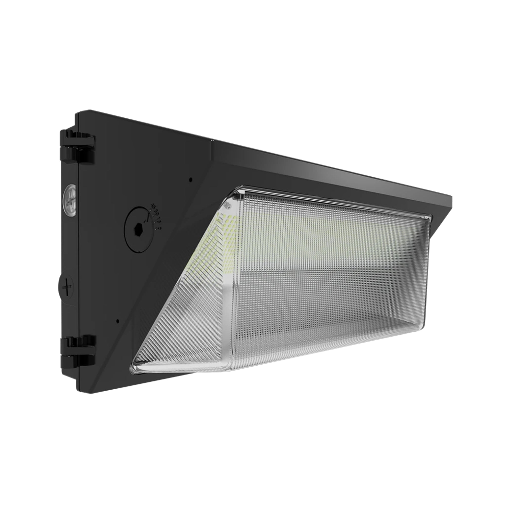 RAB W22 Adjustable Throw Wall Pack - Bees Lighting
