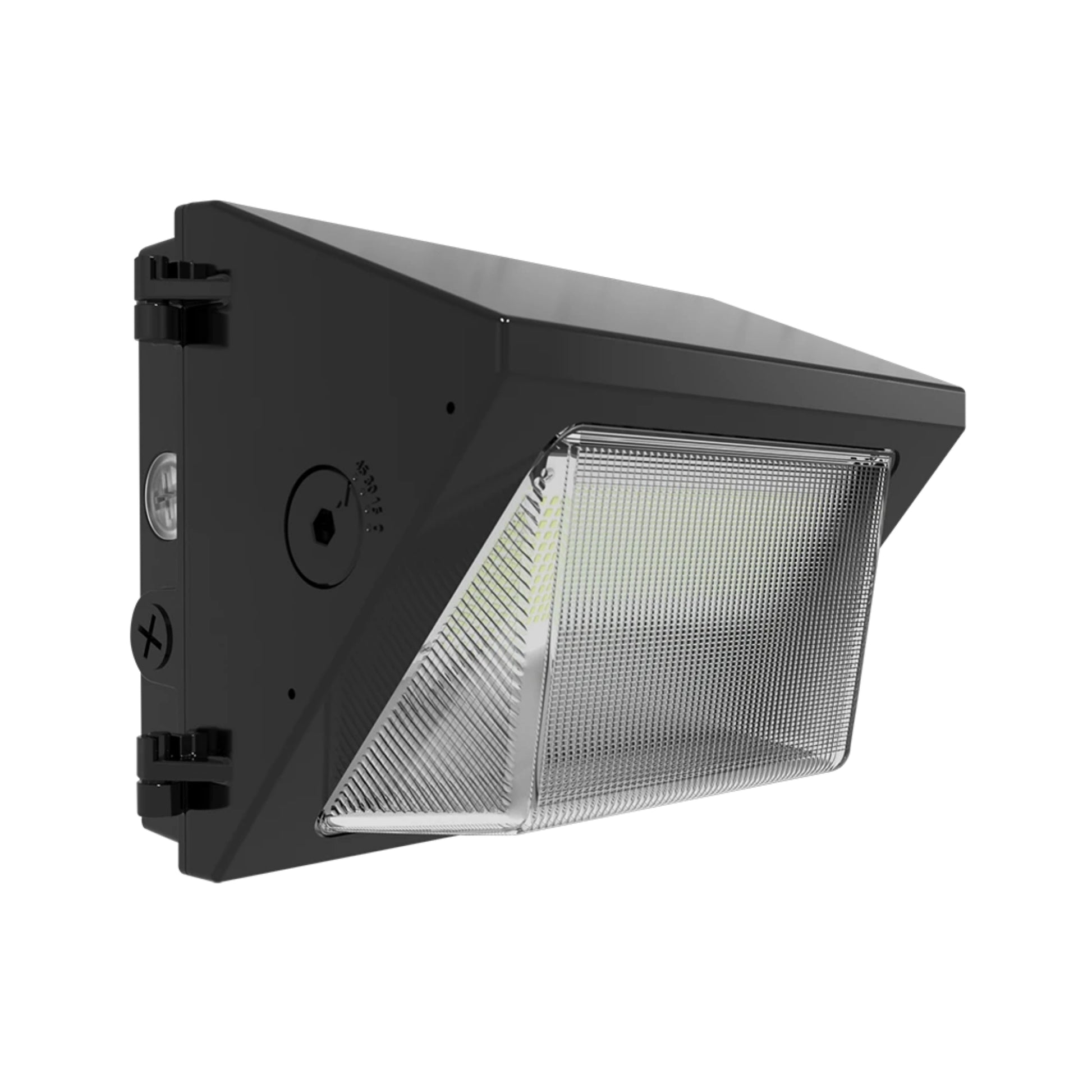 RAB W22 Adjustable Throw Wall Pack - Bees Lighting