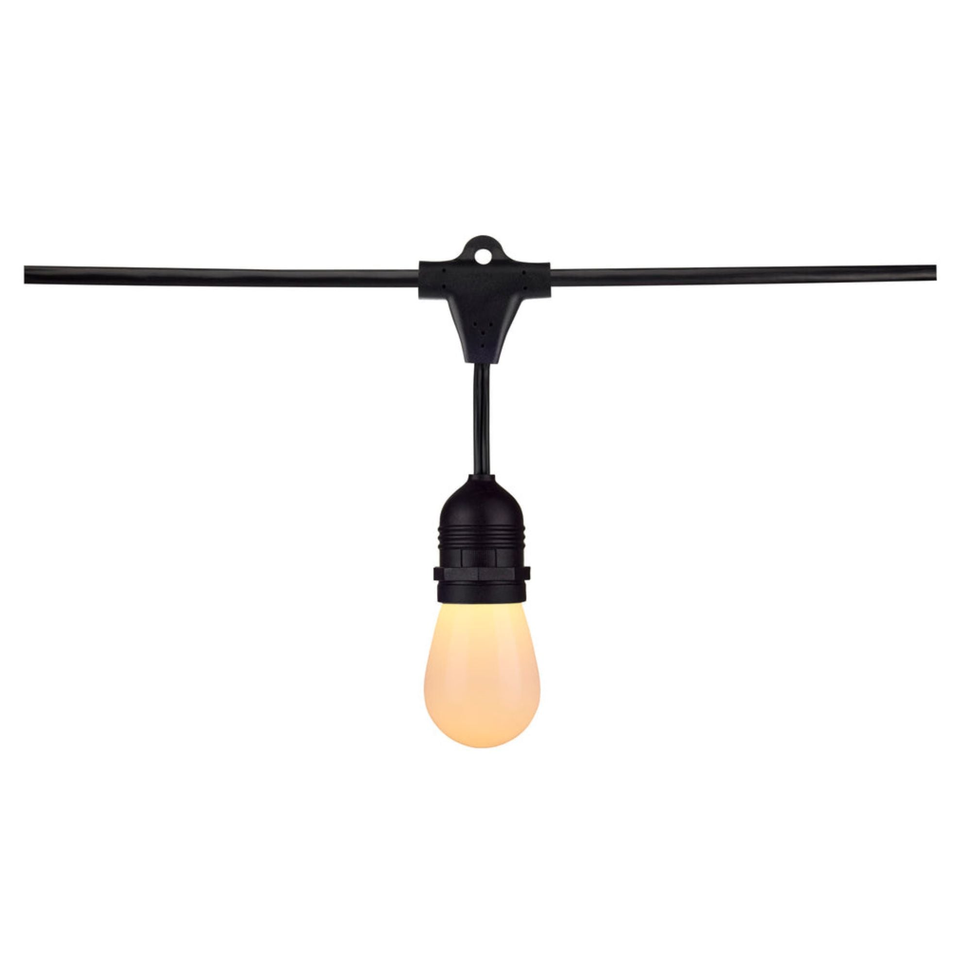Starfish WiFi Smart Indoor/Outdoor LED String Light, 12-S14 Bulbs, Tunable White