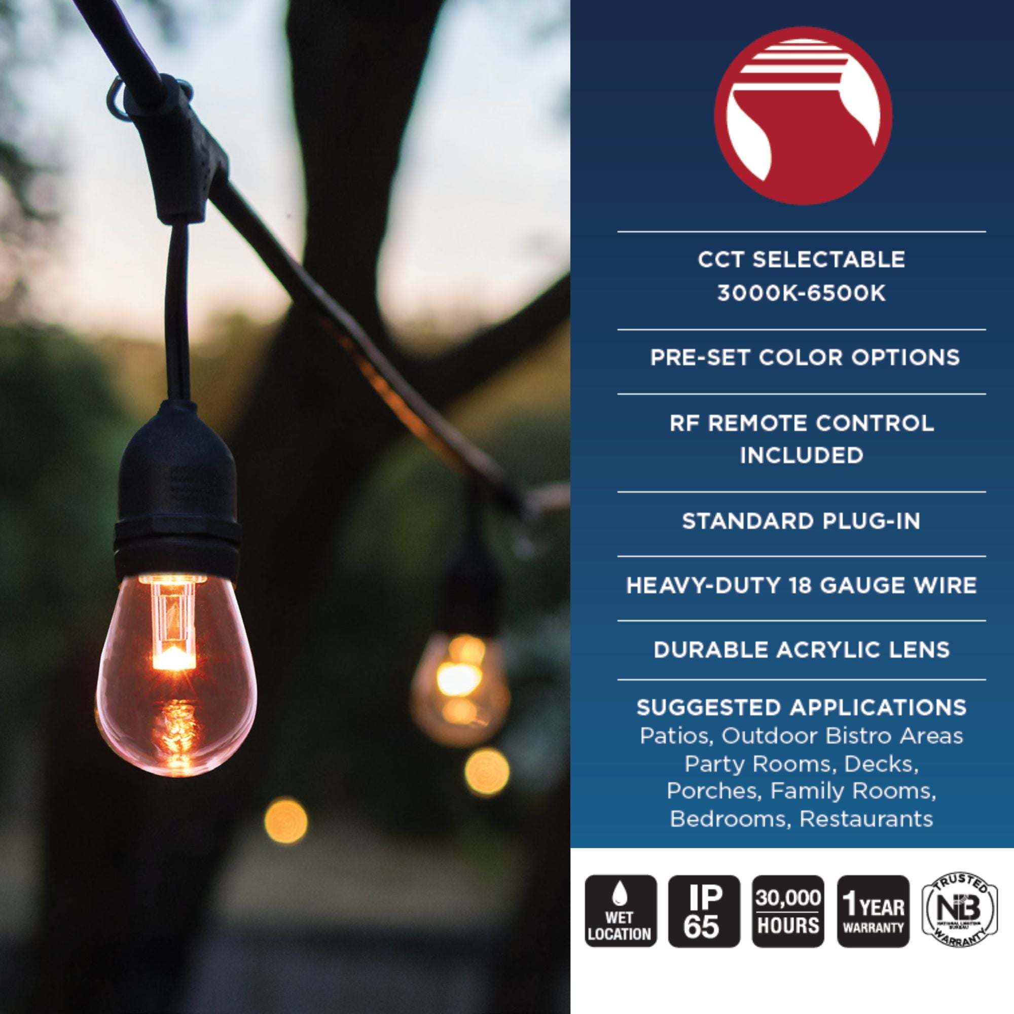 Indoor/Outdoor 24 Feet LED String Light with Remote Control, 12-S14 Bulbs, RGBTW