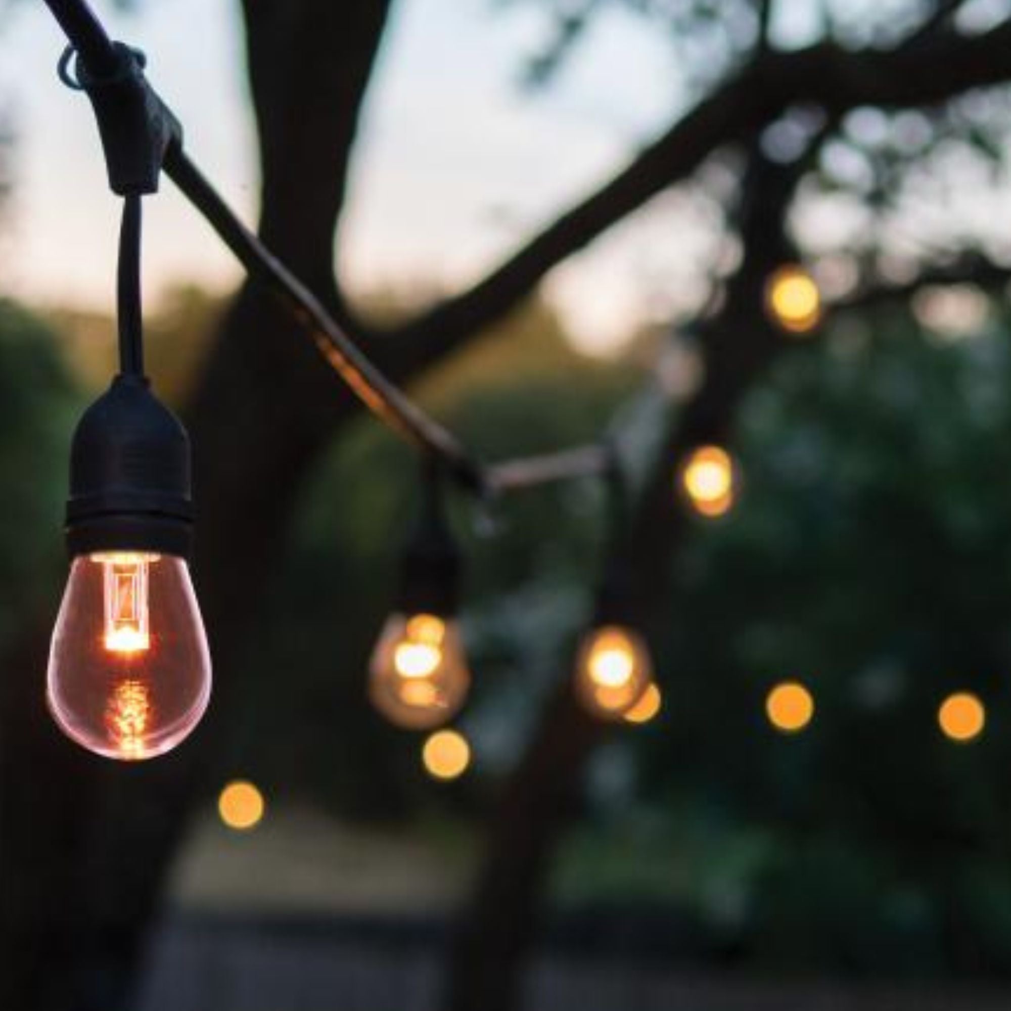 Indoor/Outdoor 48 Feet LED String Light with Remote, 15-LED Bulbs, RGBTW