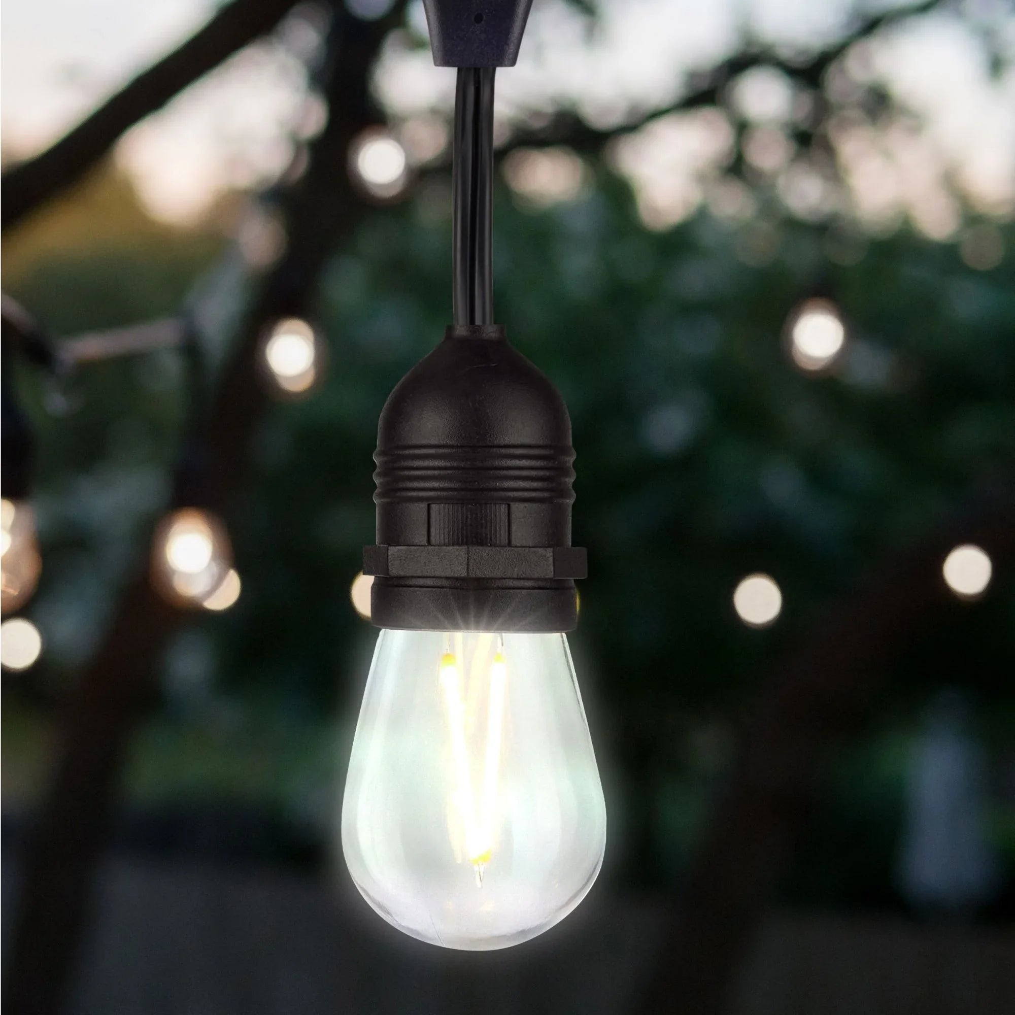 S14 Filament LED Bulb, 1W, 100lm, 2700K, E26 Medium Base, Clear Finish, Pack of 4
