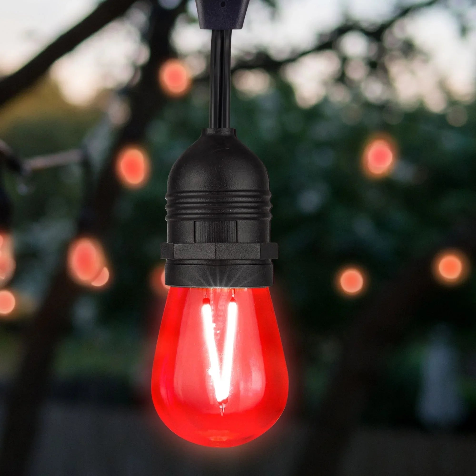 S14 Filament LED Bulb, 1W, 10lm, E26 Base, Transparent Red Finish, Pack of 4