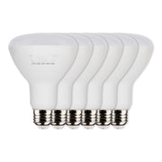 R30/BR30 LED Bulb, 9 Watts, 700 Lumens, 27K|30K|40K|50K, E26 Base, 100° Flood, 6 Pack