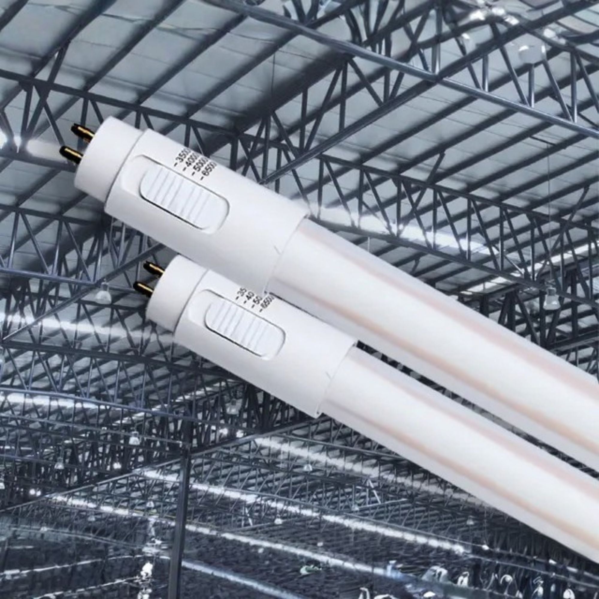 3ft T5 LED Lamp, 12 Watts, 1500 Lumens, 3500K to 6500K, Ballast Bypass, Single|Dual End