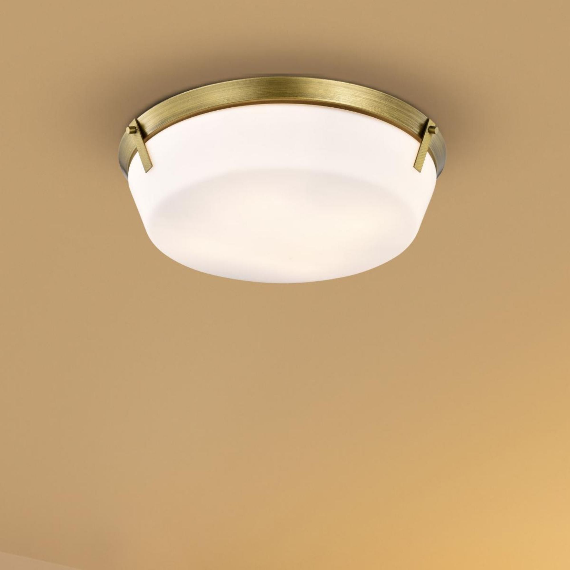 Rowen 19" 4 lights Flush Mount, Natural Brass Finish