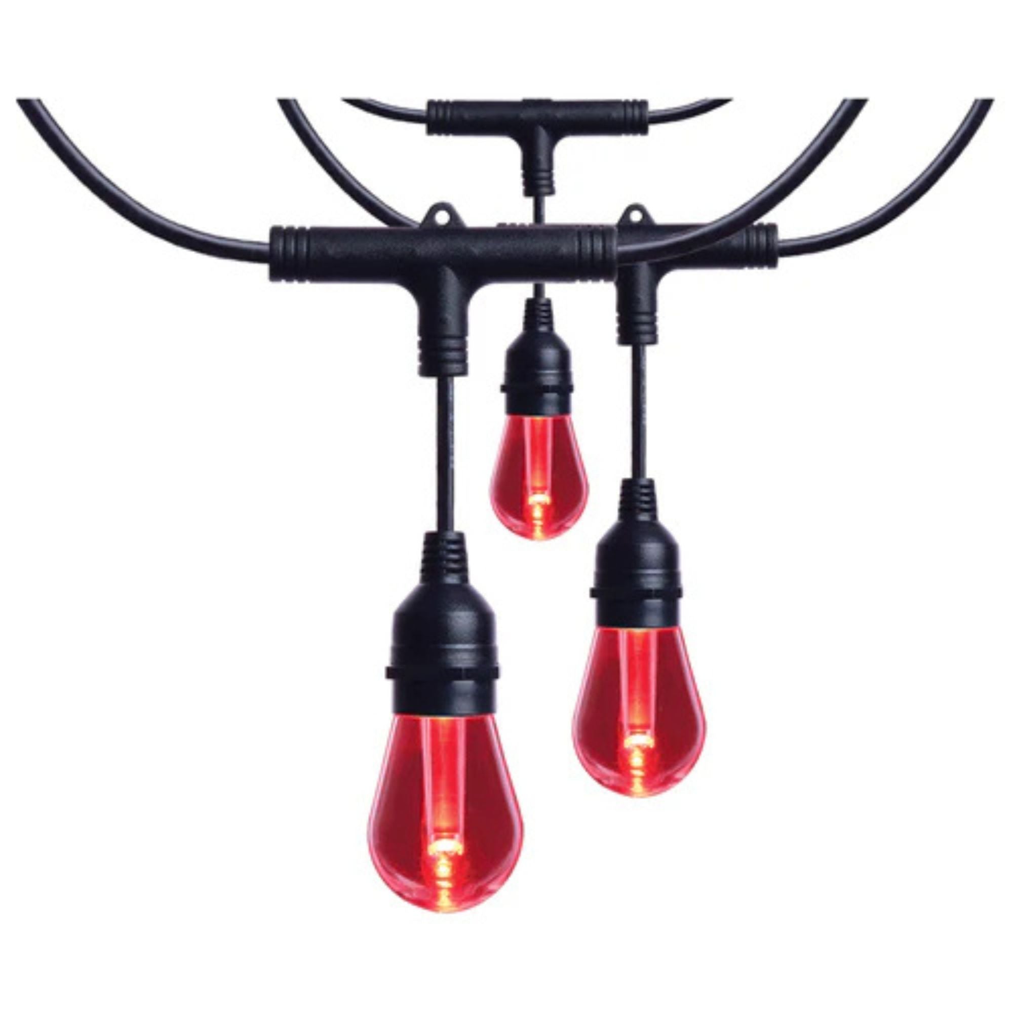 Starfish Smart 48ft LED String Light, 15-S14 Bulbs, RGB + Tunable White