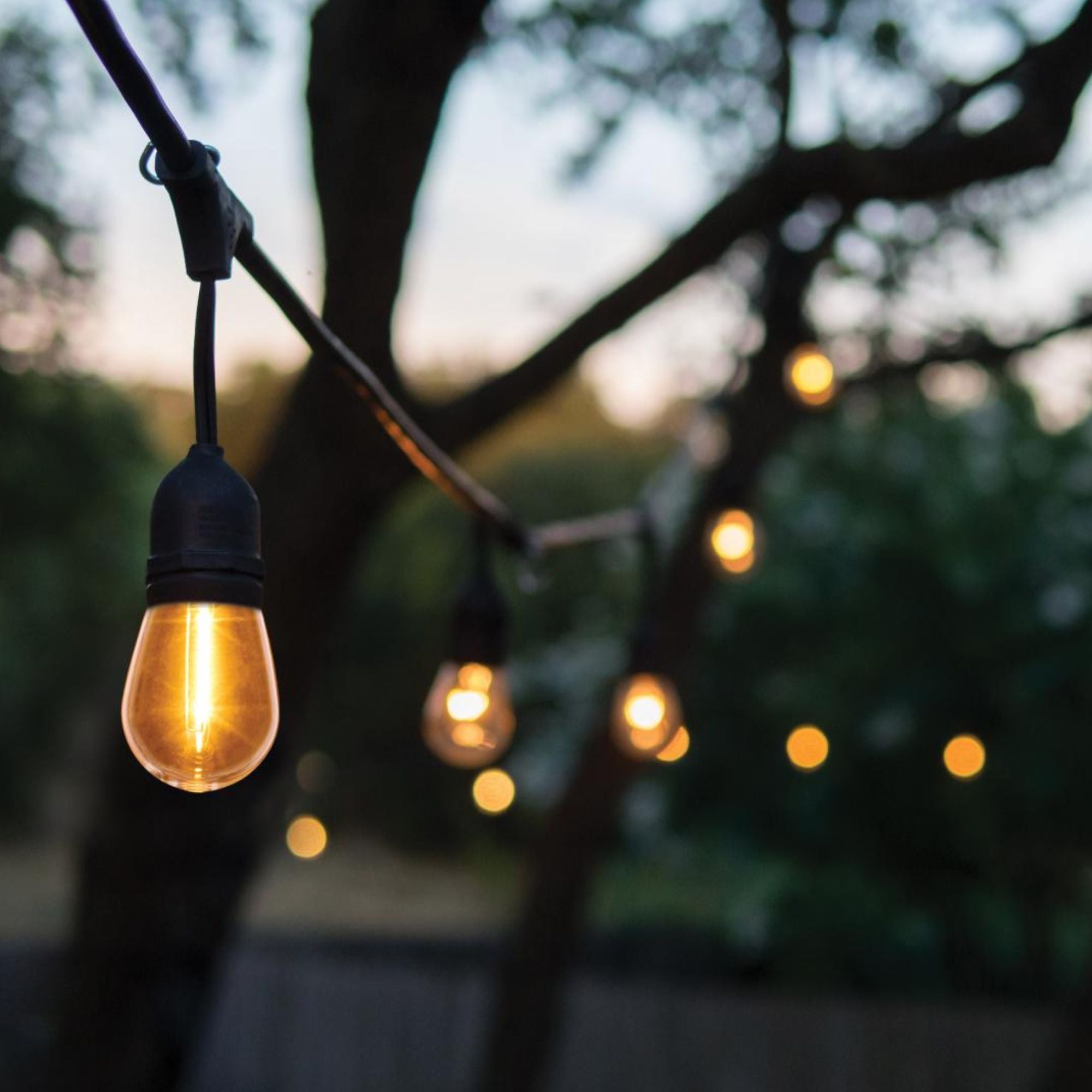 S14 LED String Light Replacement Lamp, E26 Medium Base, 2200K, Pack of 4