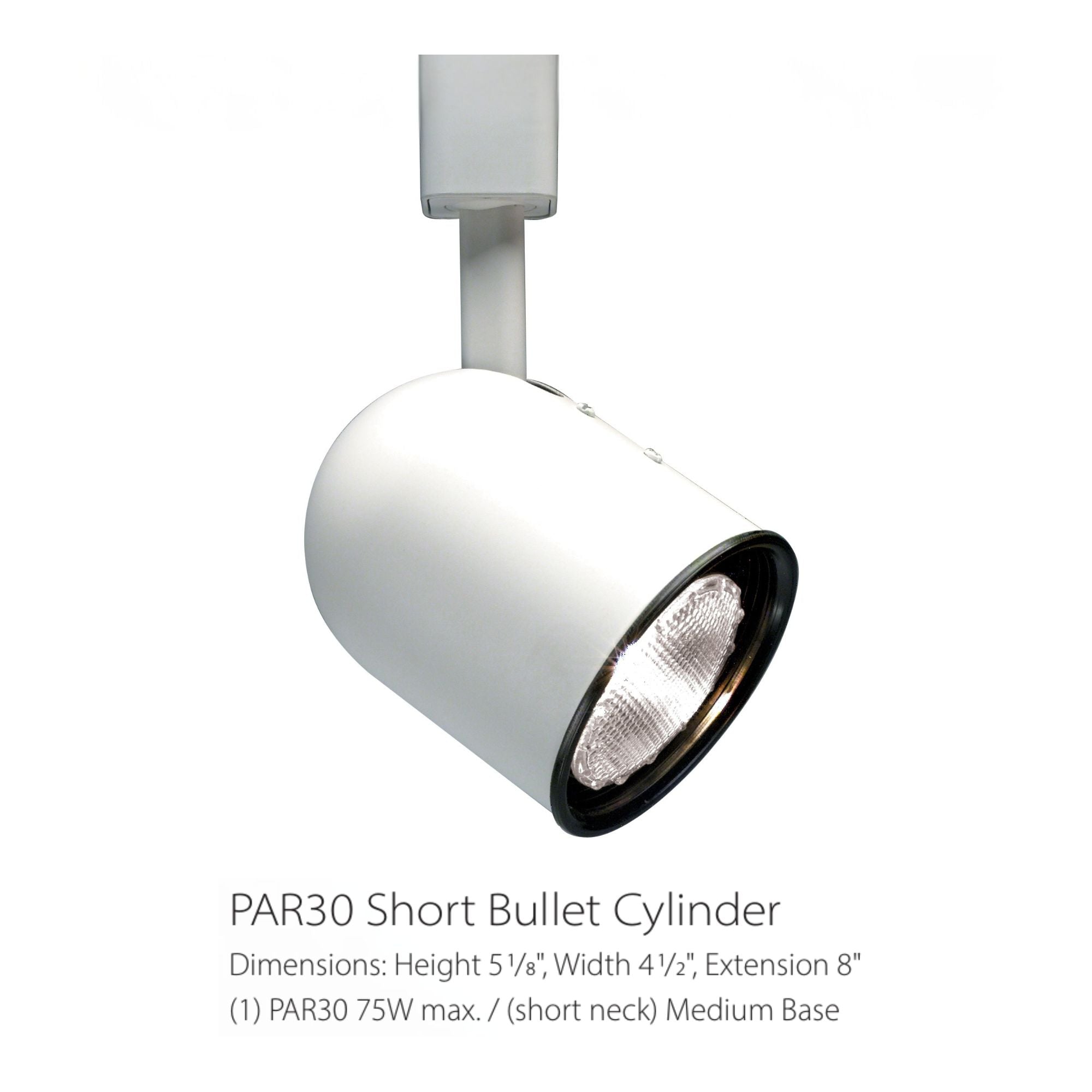 Satco|Nuvo Track Head, H-Type, Medium Base E26 PAR30, 75W