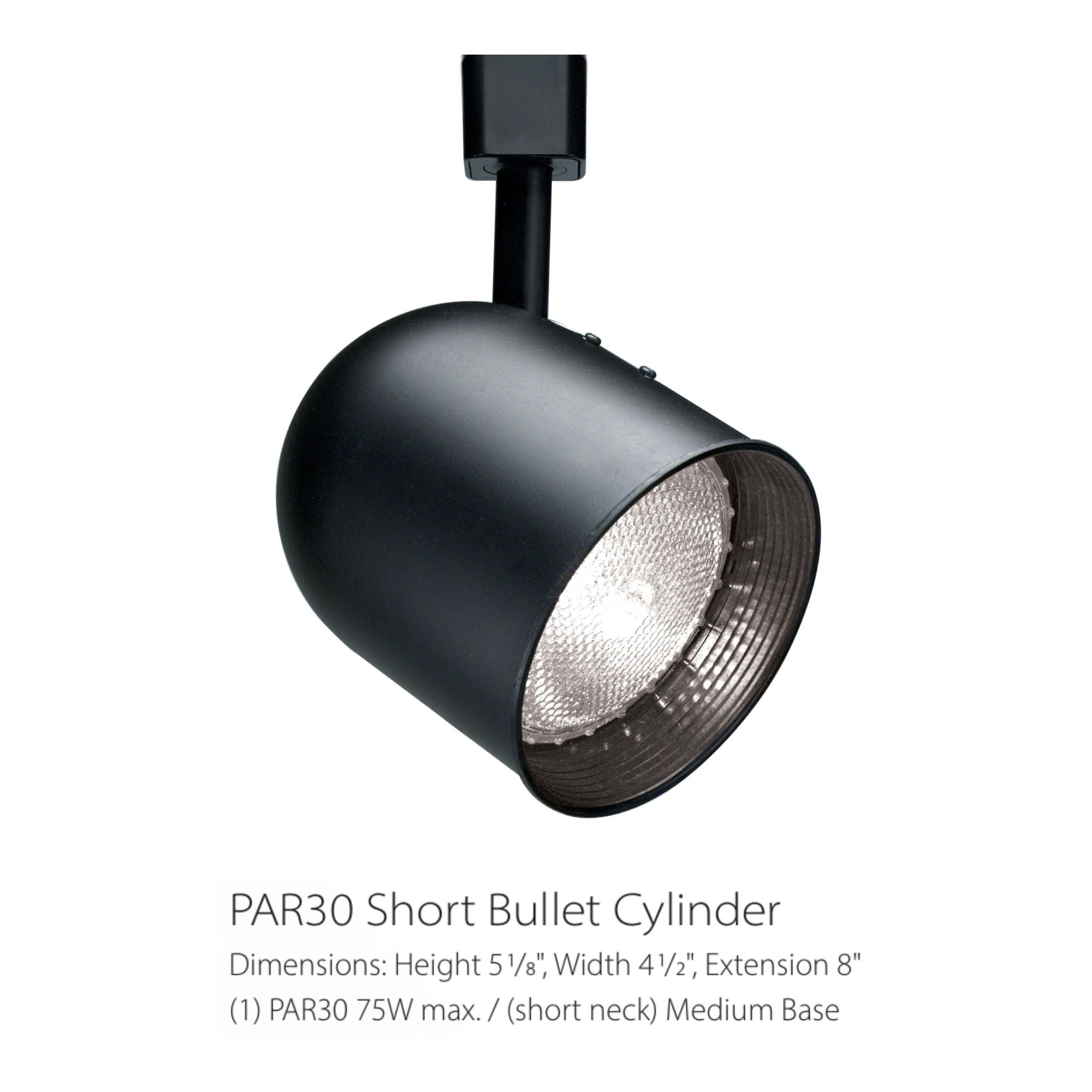 Satco|Nuvo Track Head, H-Type, Medium Base E26 PAR30, 75W