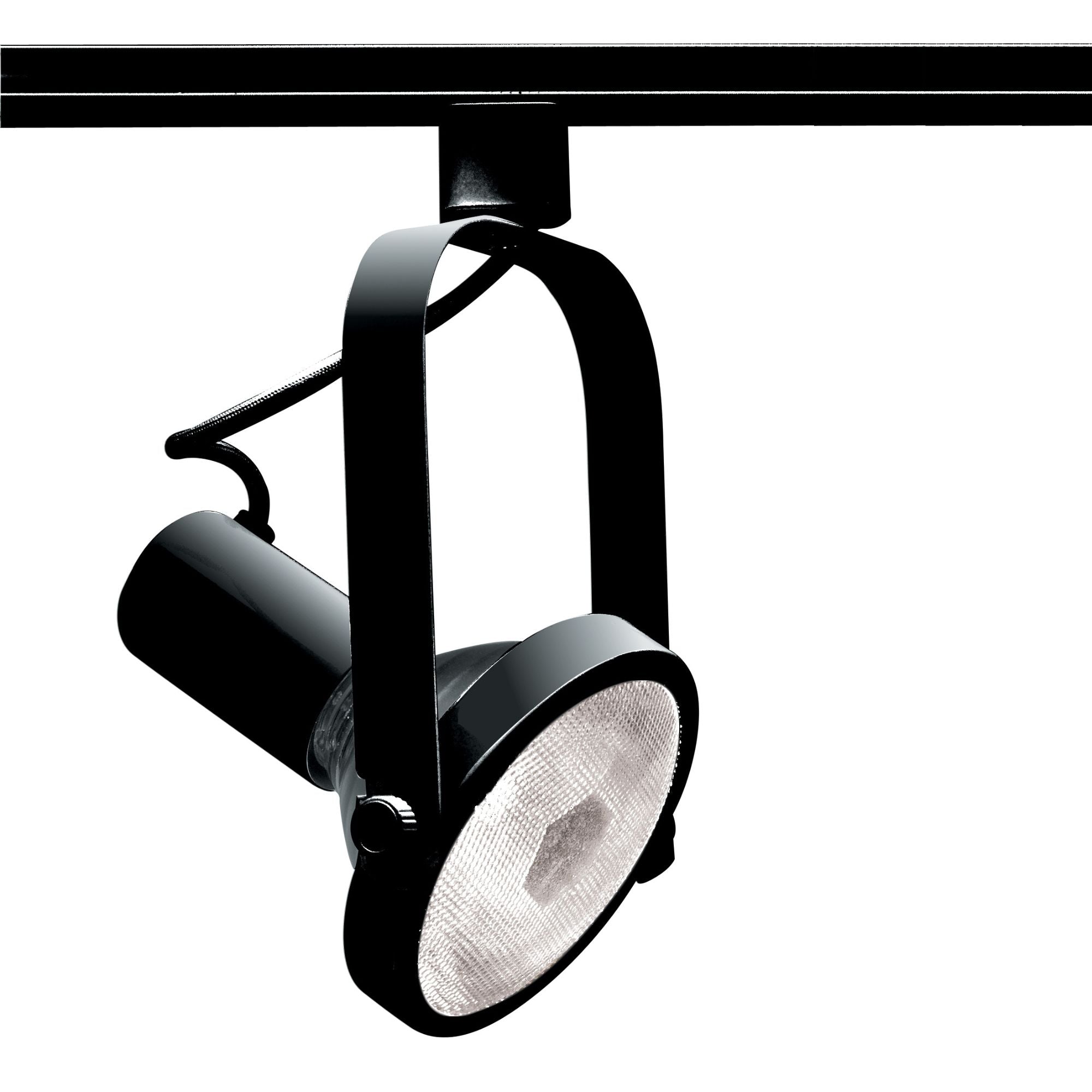 Satco|Nuvo Track Head, H-Type, Medium Base E26 PAR38, 150W