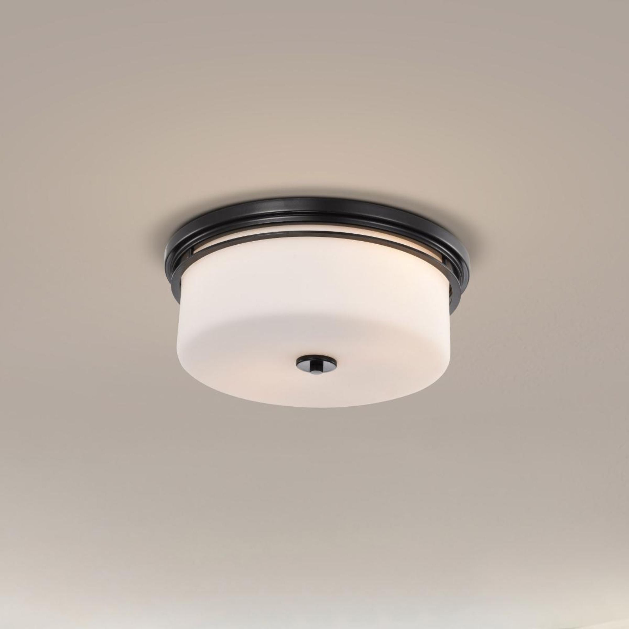 Warren 24" 2 Lights Flush Mount, Gun Metal Finish
