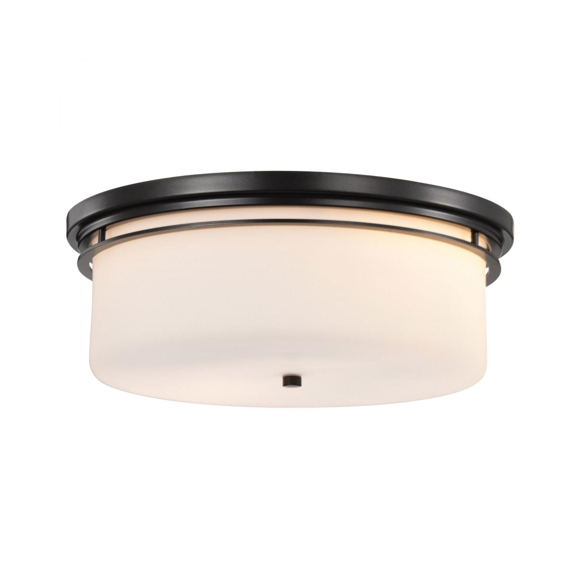 Warren 24" 2 Lights Flush Mount, Gun Metal Finish