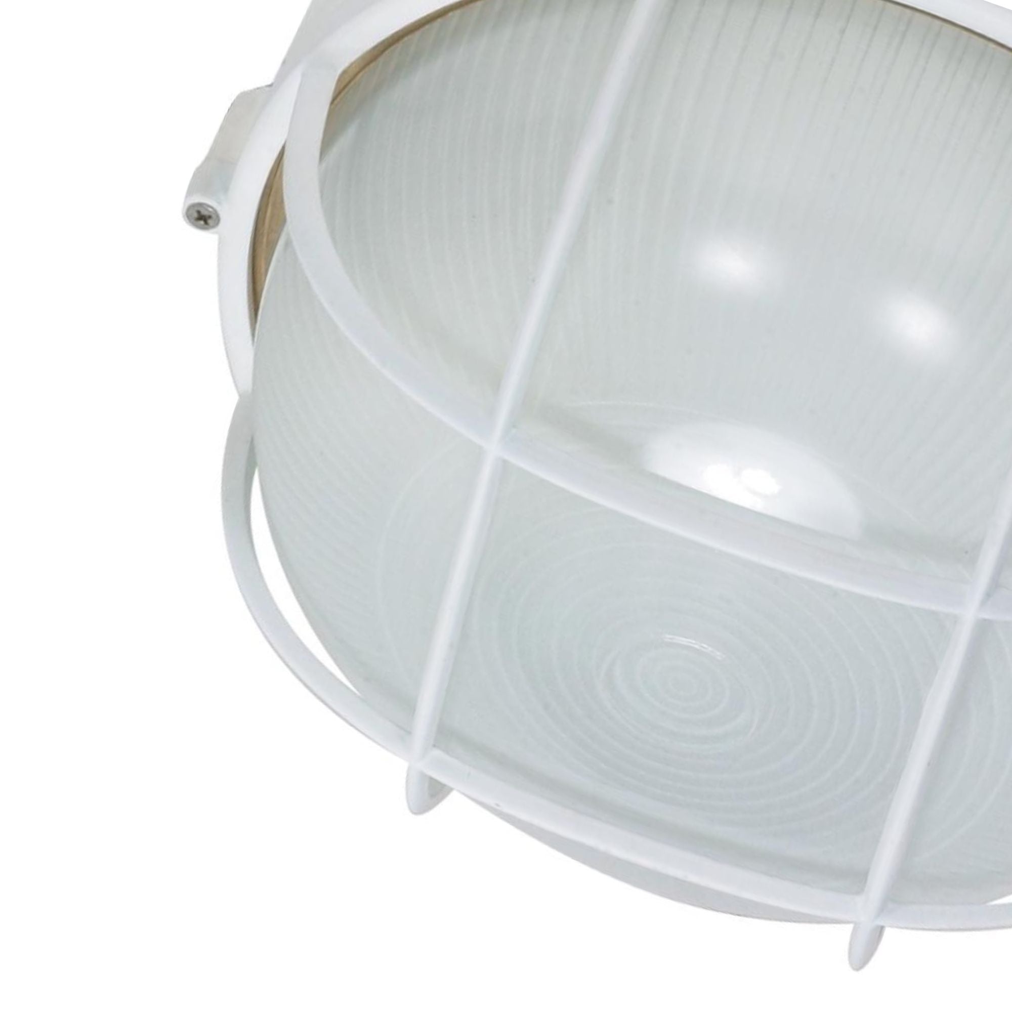 10" Round Cage Bulkhead Light, Semi Gloss White - Bees Lighting