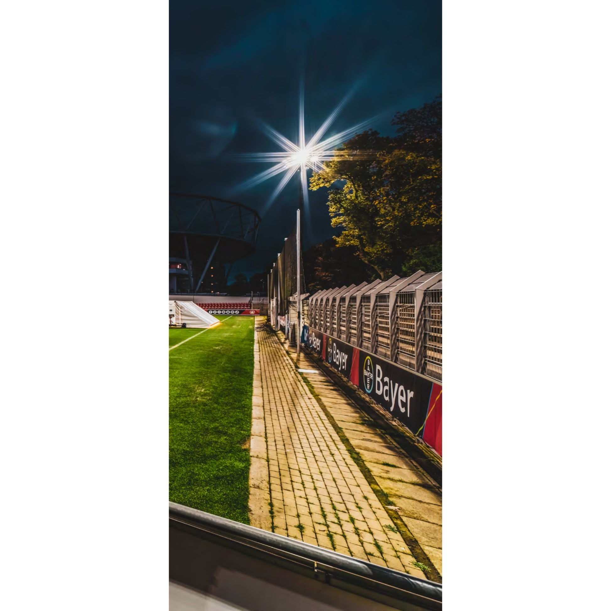 LED Sports Light, 1200W, 174000 Lumens, 5000K, 200-480V, Trunnion - Bees Lighting