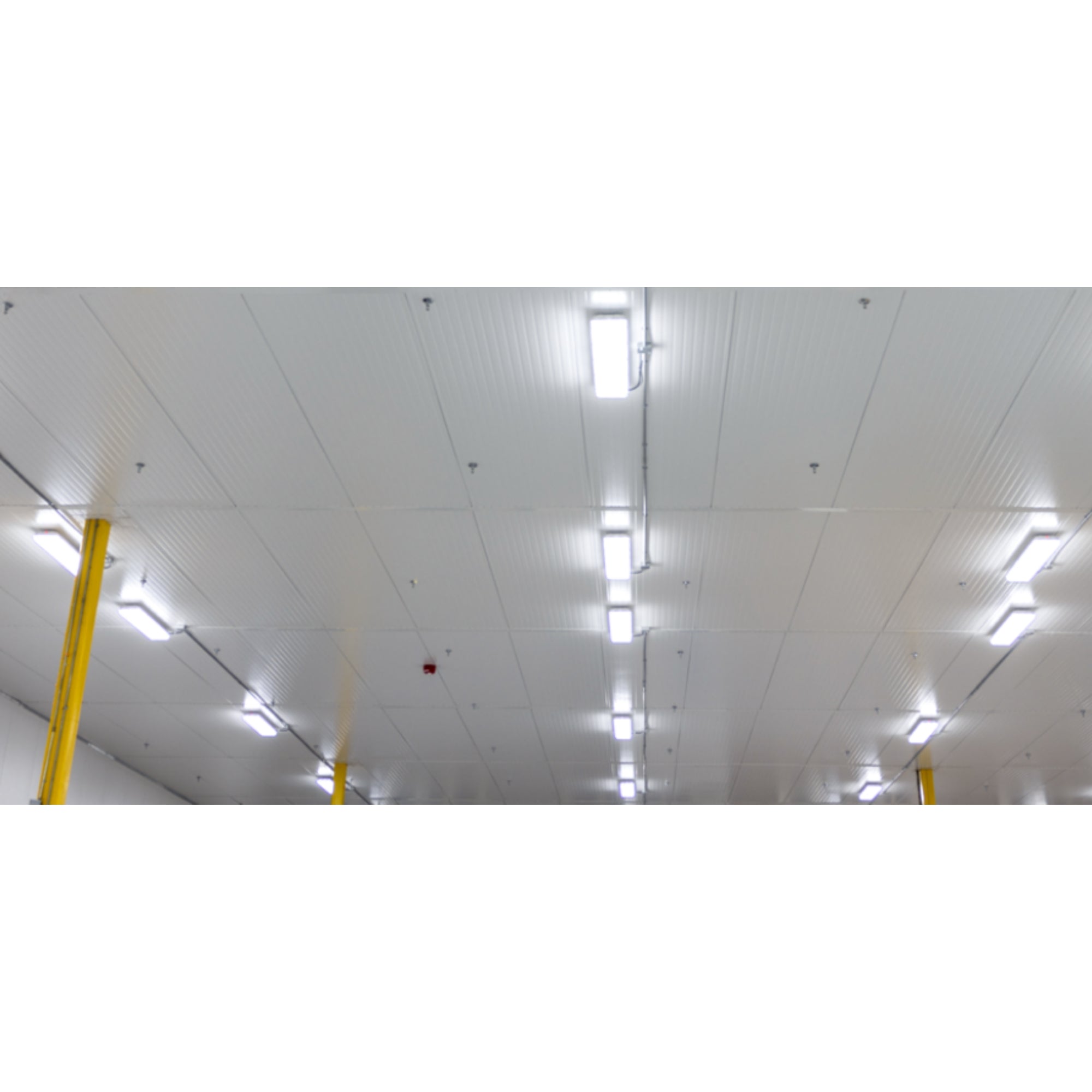 4ft LED Vapor Tight Light, 50W, 7000 Lumens, 35K/40K/50K, 120-347V - Bees Lighting