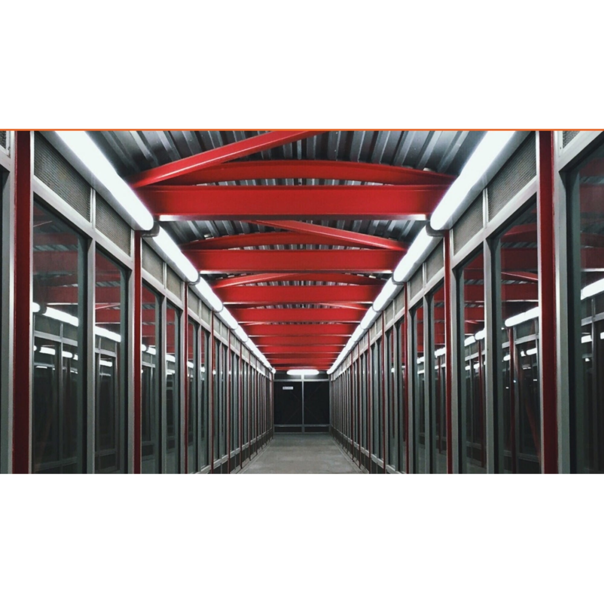 Sylvania Dual Selectable Wrap FVL - Bees Lighting
