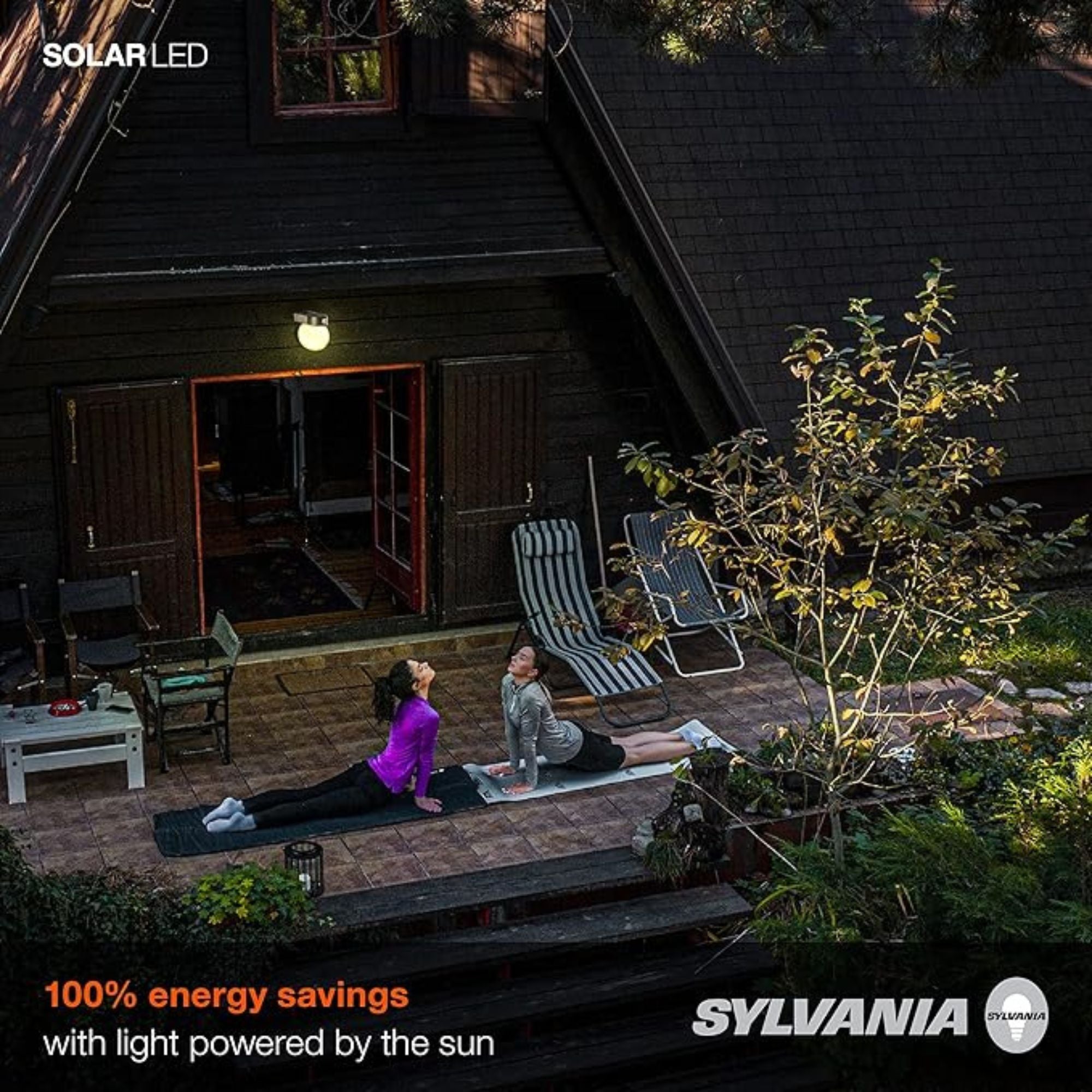 Outdoor Solar LED Wall Globe Sconce, 100 Lumens, 2700K, Silver