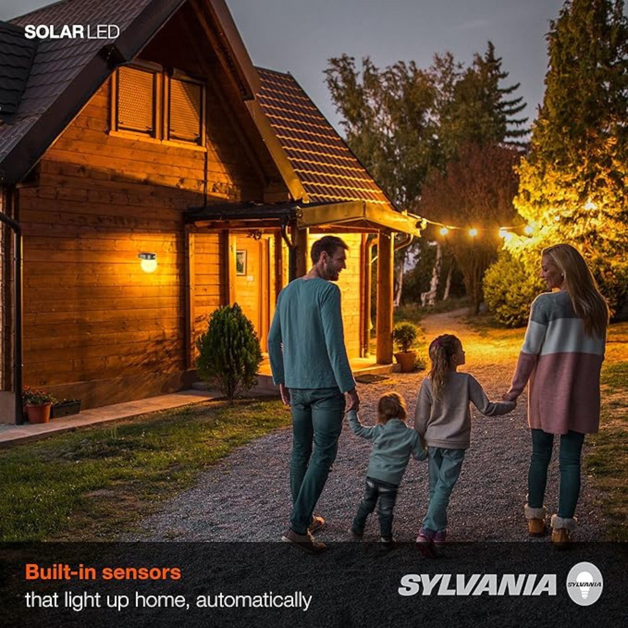 Outdoor Solar LED Wall Globe Sconce, 100 Lumens, 2700K, Silver