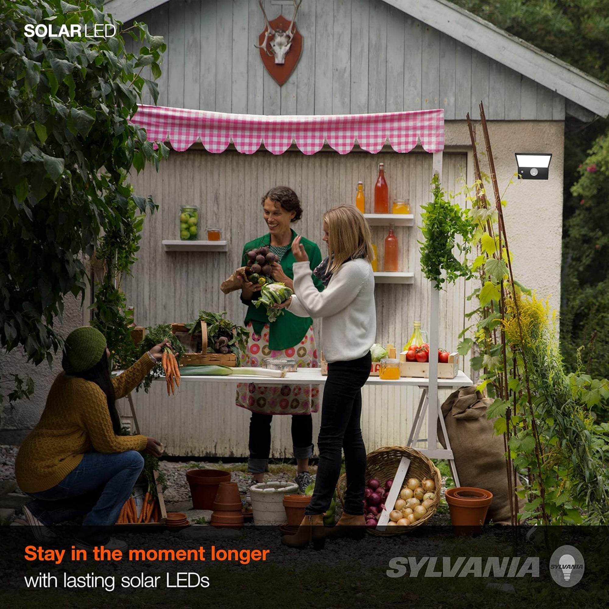 LED Solar Flood Light, 600 Lumens, 5000K, Surface Mount, Black