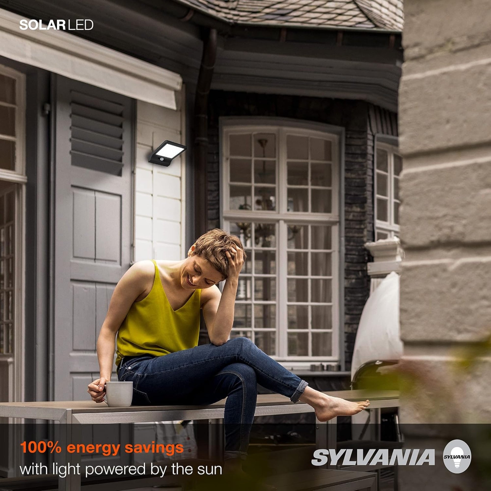 LED Solar Flood Light, 600 Lumens, 5000K, Surface Mount, Black