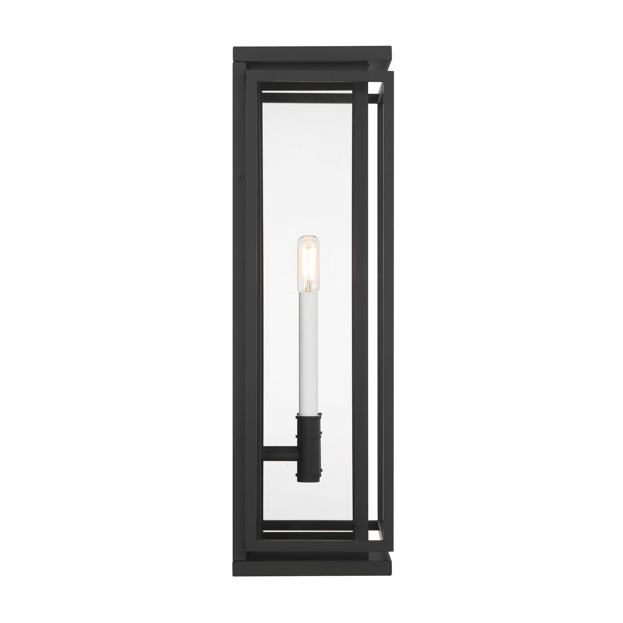 The Great Outdoors Stratford 23.5 in. 2-Light Outdoor Wall Sconce, Dark Matte Black & Painted Legacy Brass with Clear Glass