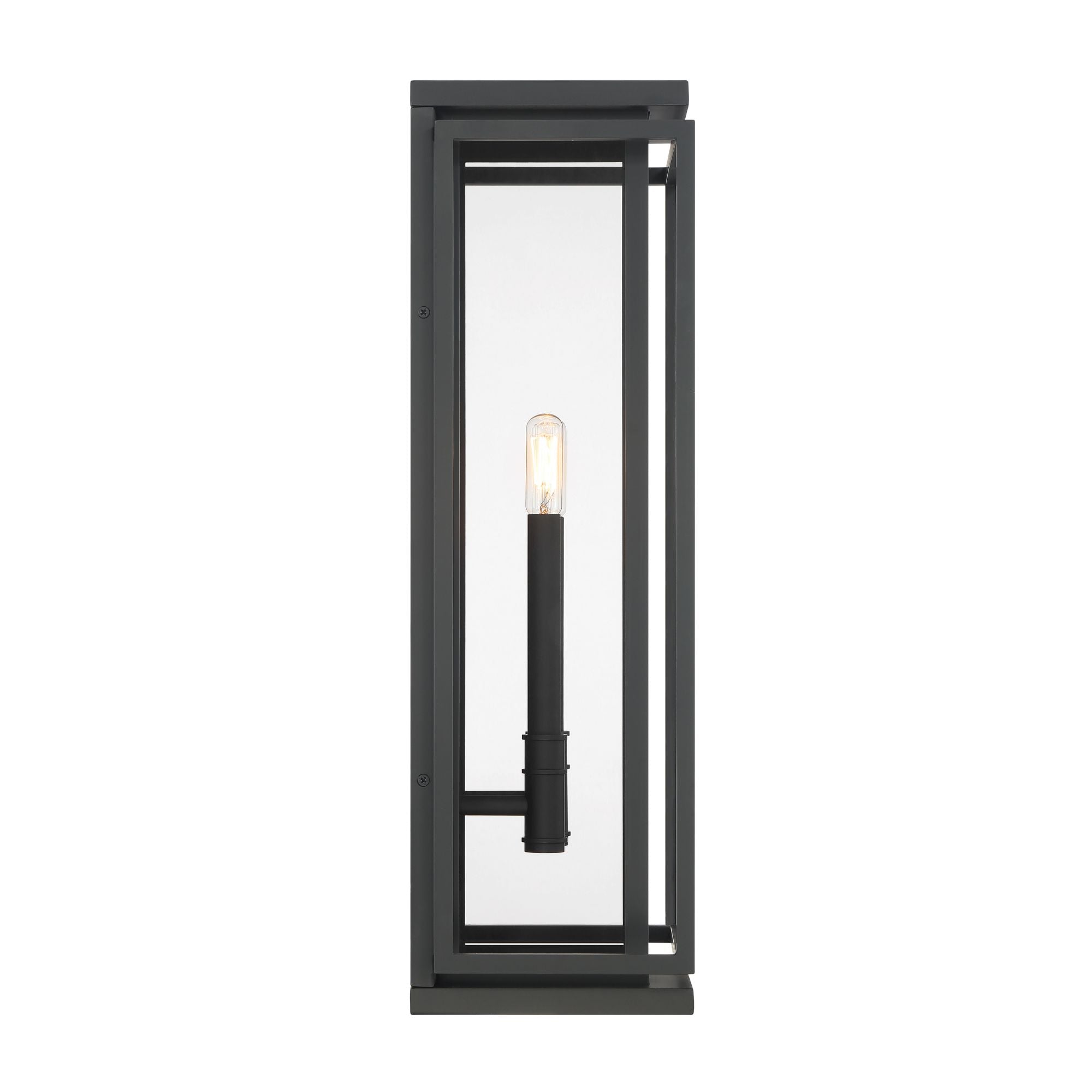The Great Outdoors Stratford 23.5 in. 2-Light Outdoor Wall Sconce, Dark Matte Black & Painted Legacy Brass with Clear Glass