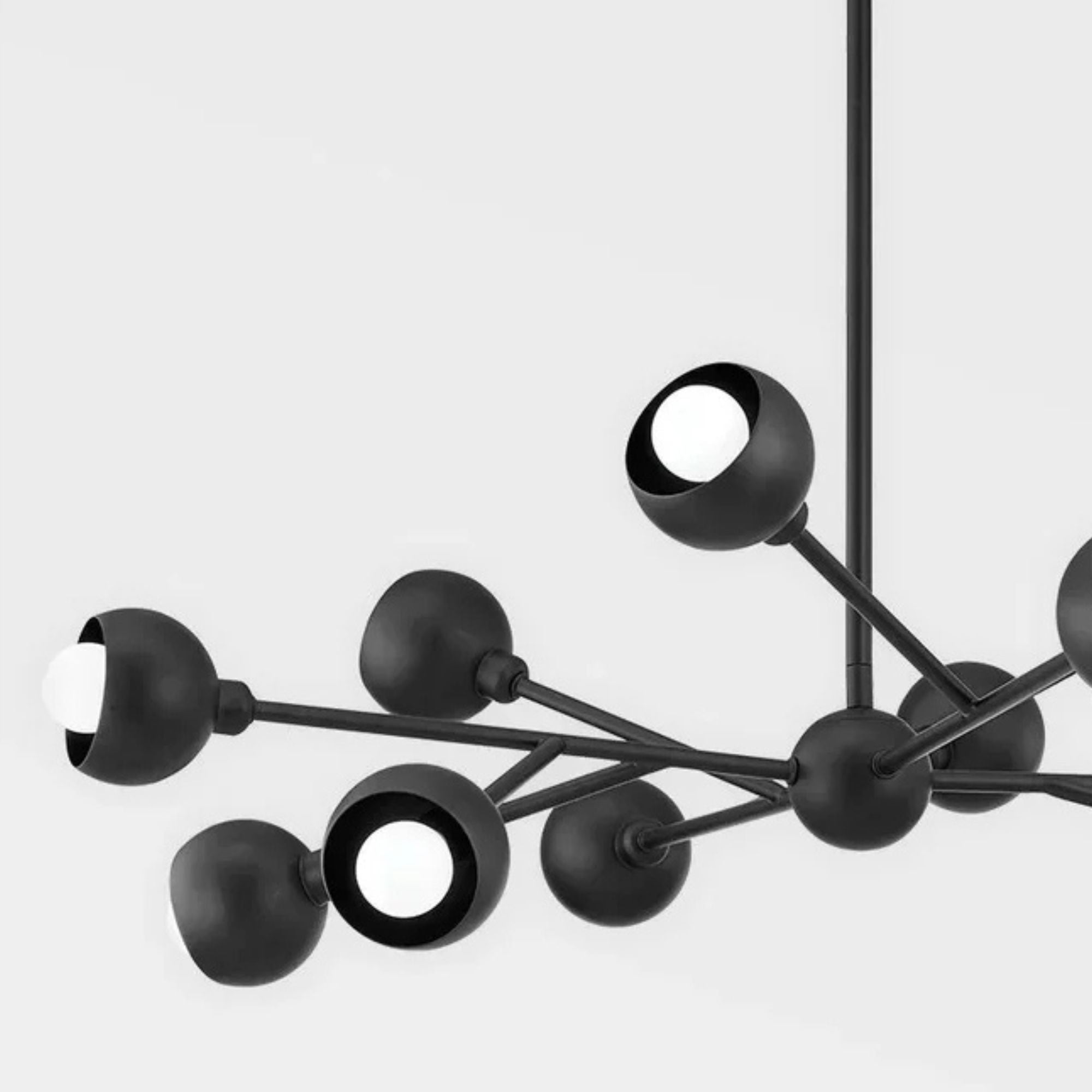 Troy Lighting - Colt 12 Lights Chandelier Black finish | Bees Lighting