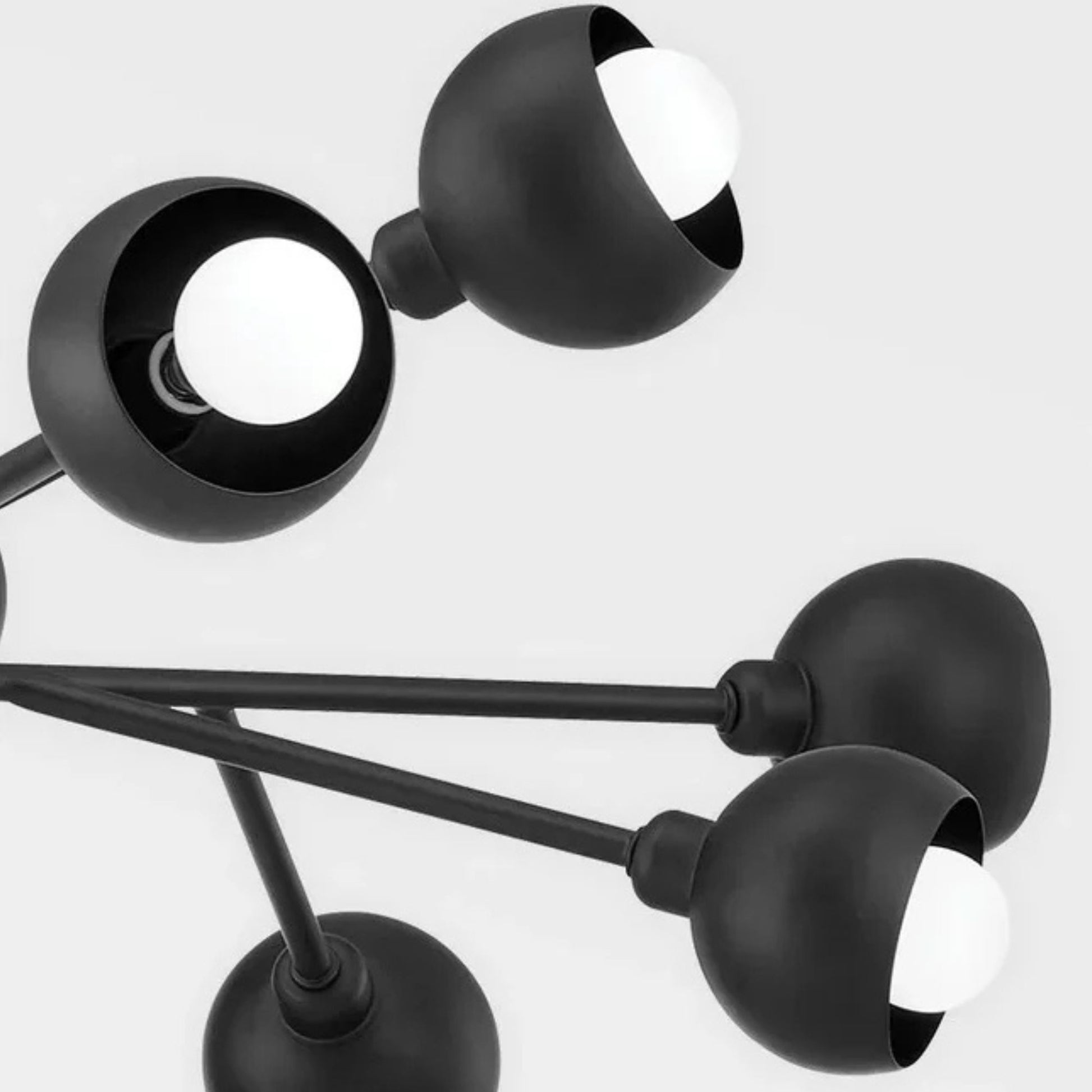 Troy Lighting - Colt 12 Lights Chandelier Black finish | Bees Lighting