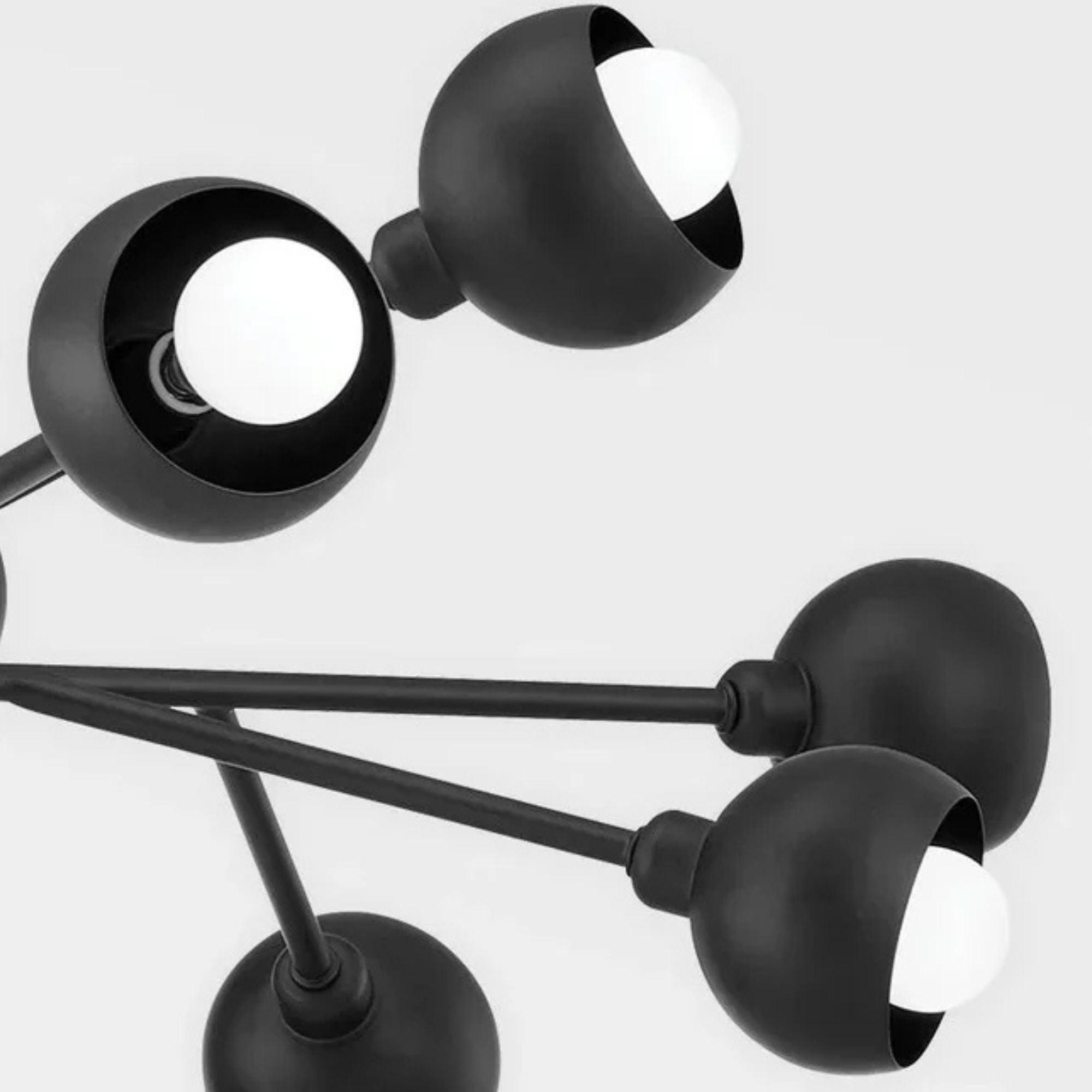 Troy Lighting - Colt 12 Lights Chandelier Black finish | Bees Lighting