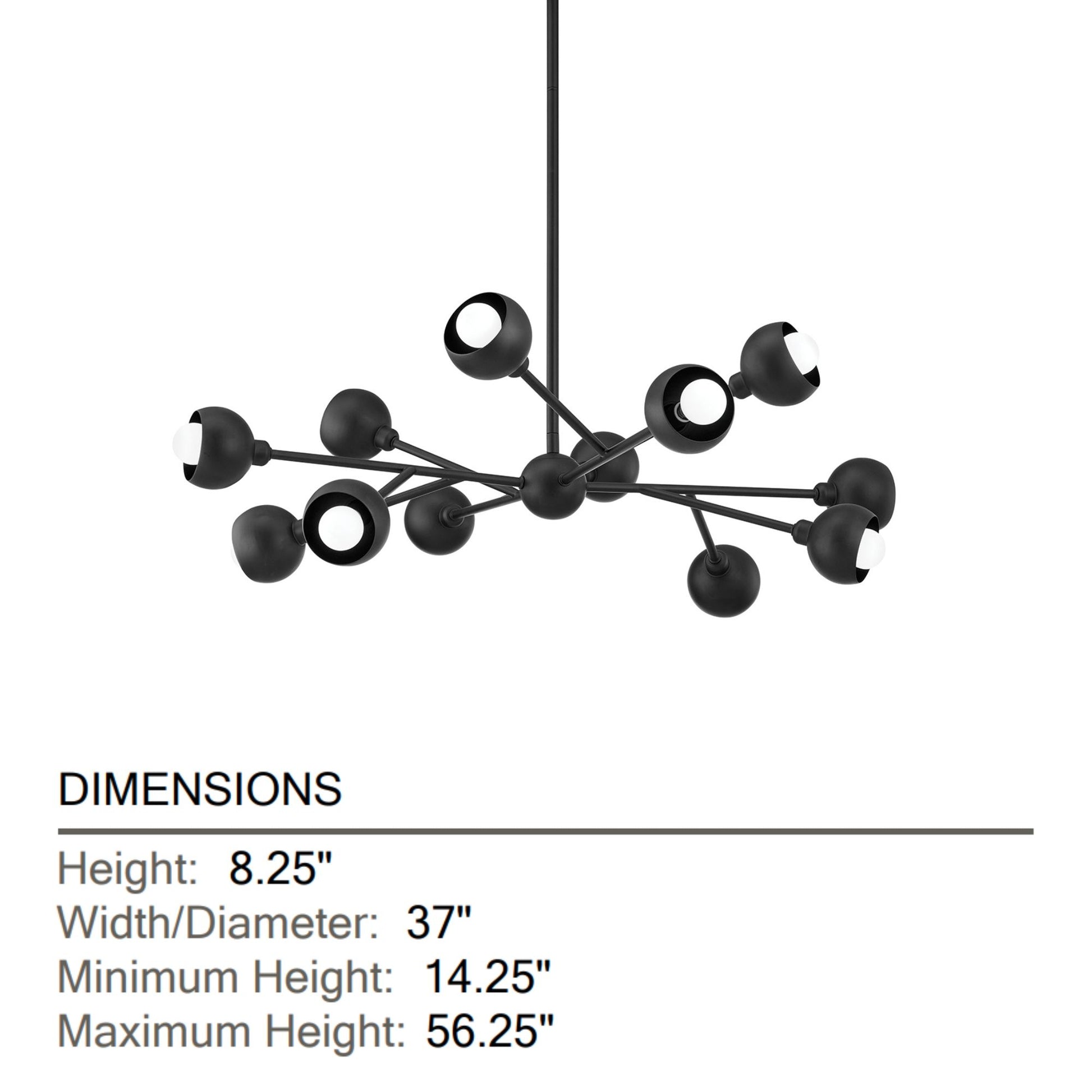 Troy Lighting - Colt 12 Lights Chandelier Black finish | Bees Lighting