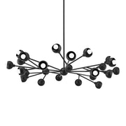 Troy Lighting - Colt Chandelier Black finish | Bees Lighting