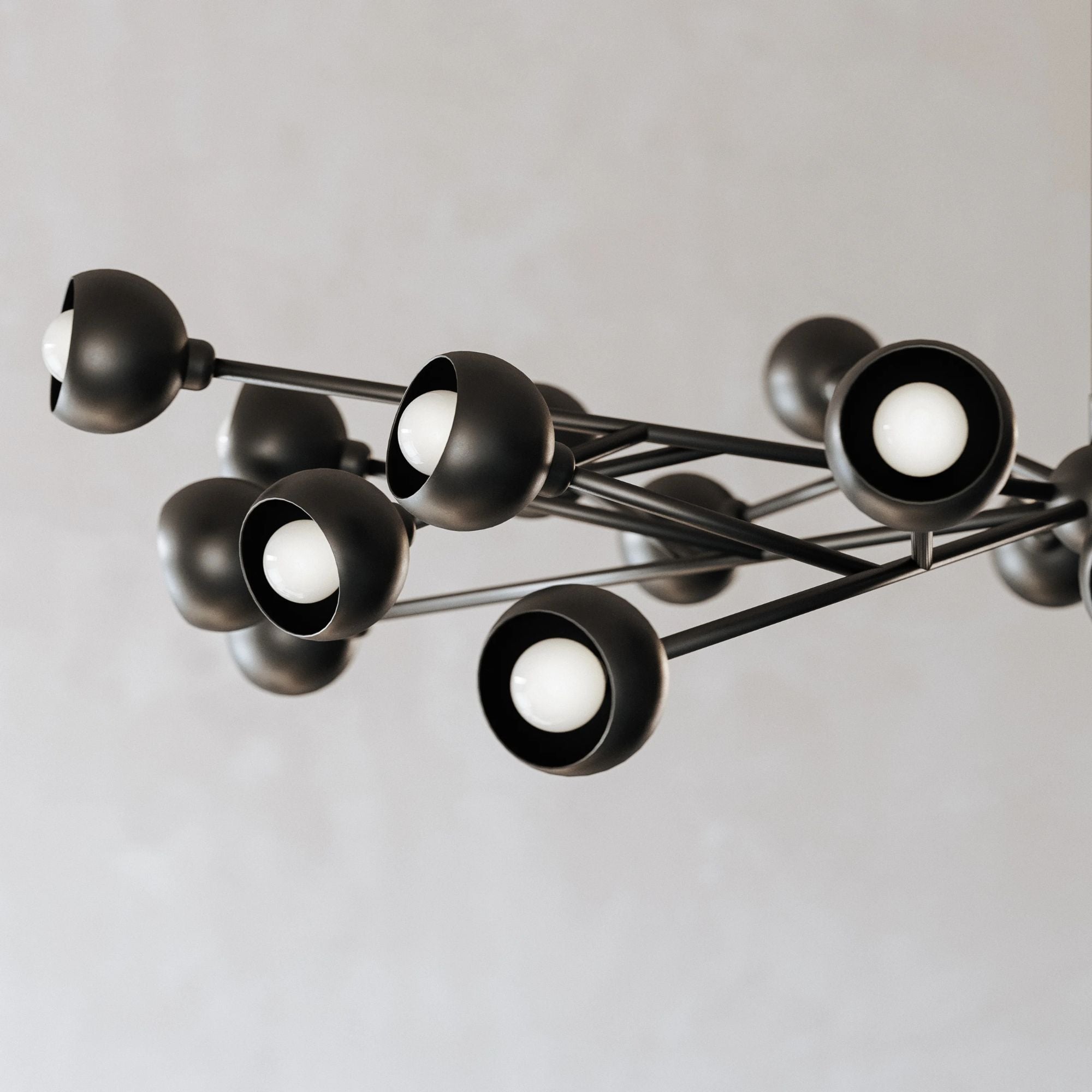 Troy Lighting - Colt 24 Lights Chandelier Black finish | Bees Lighting