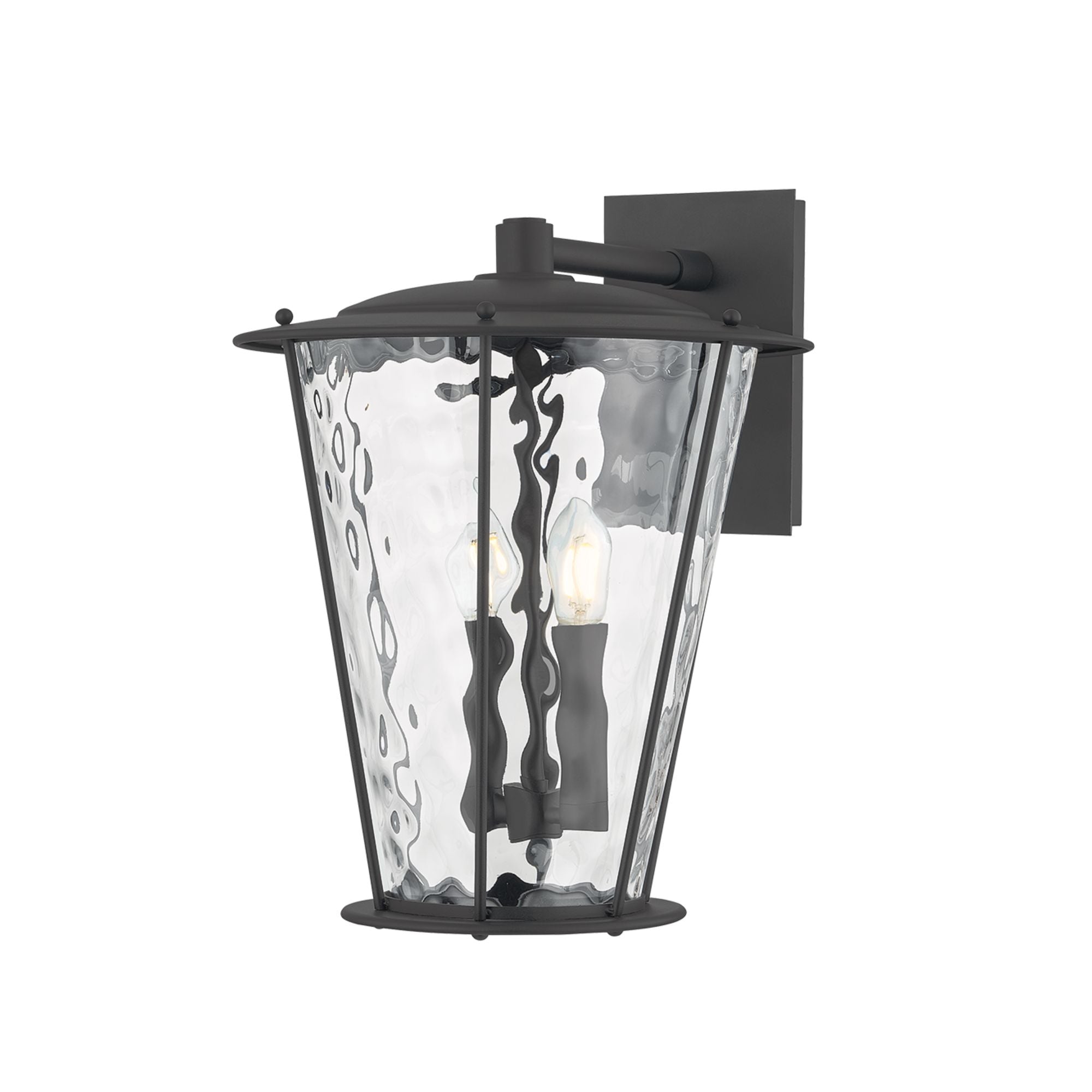 Troy Jantzen 16.5 in. 2-Light Wall Sconce, Texture Black with Clear Optic Glass