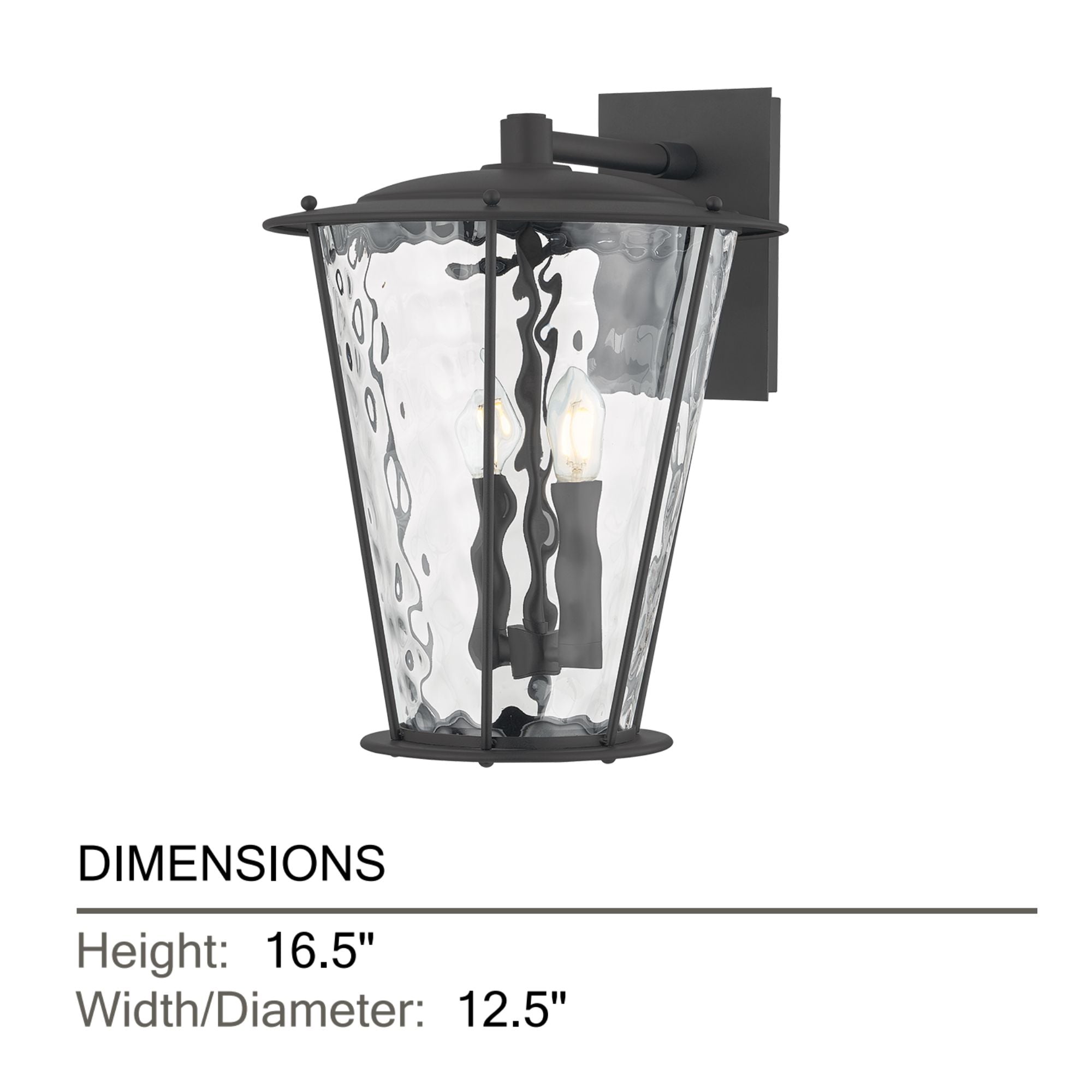 Troy Jantzen 16.5 in. 2-Light Wall Sconce, Texture Black with Clear Optic Glass