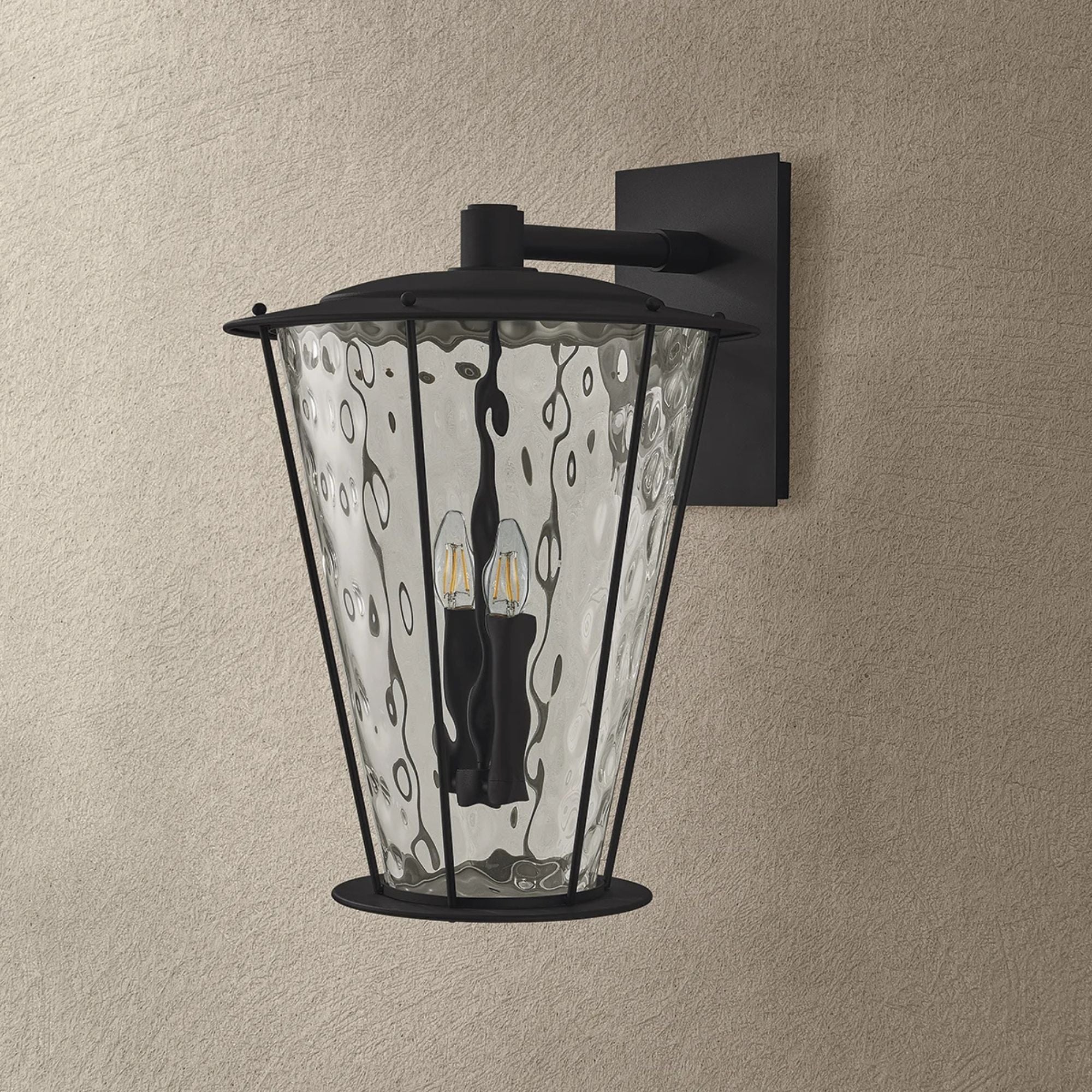 Troy Jantzen 21.5 in. 2-Light Wall Sconce, Texture Black with Clear Optic Glass