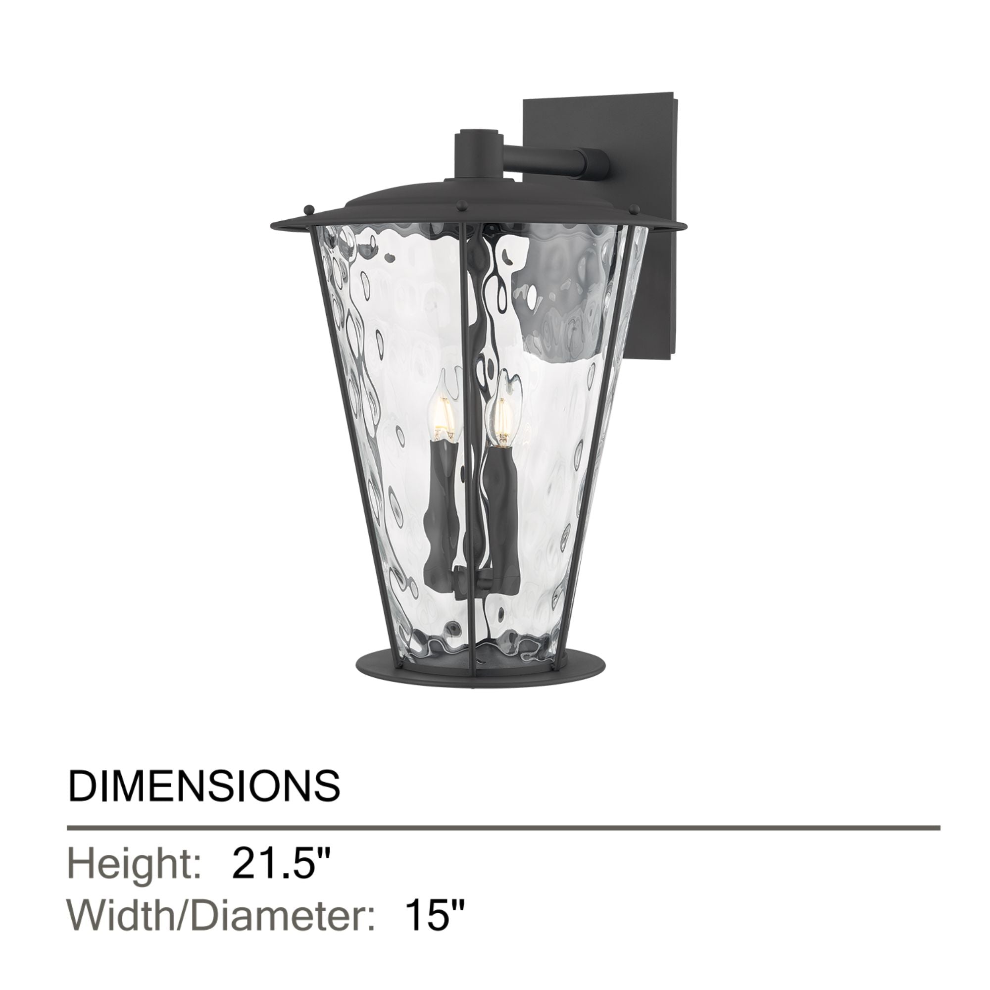 Troy Jantzen 21.5 in. 2-Light Wall Sconce, Texture Black with Clear Optic Glass