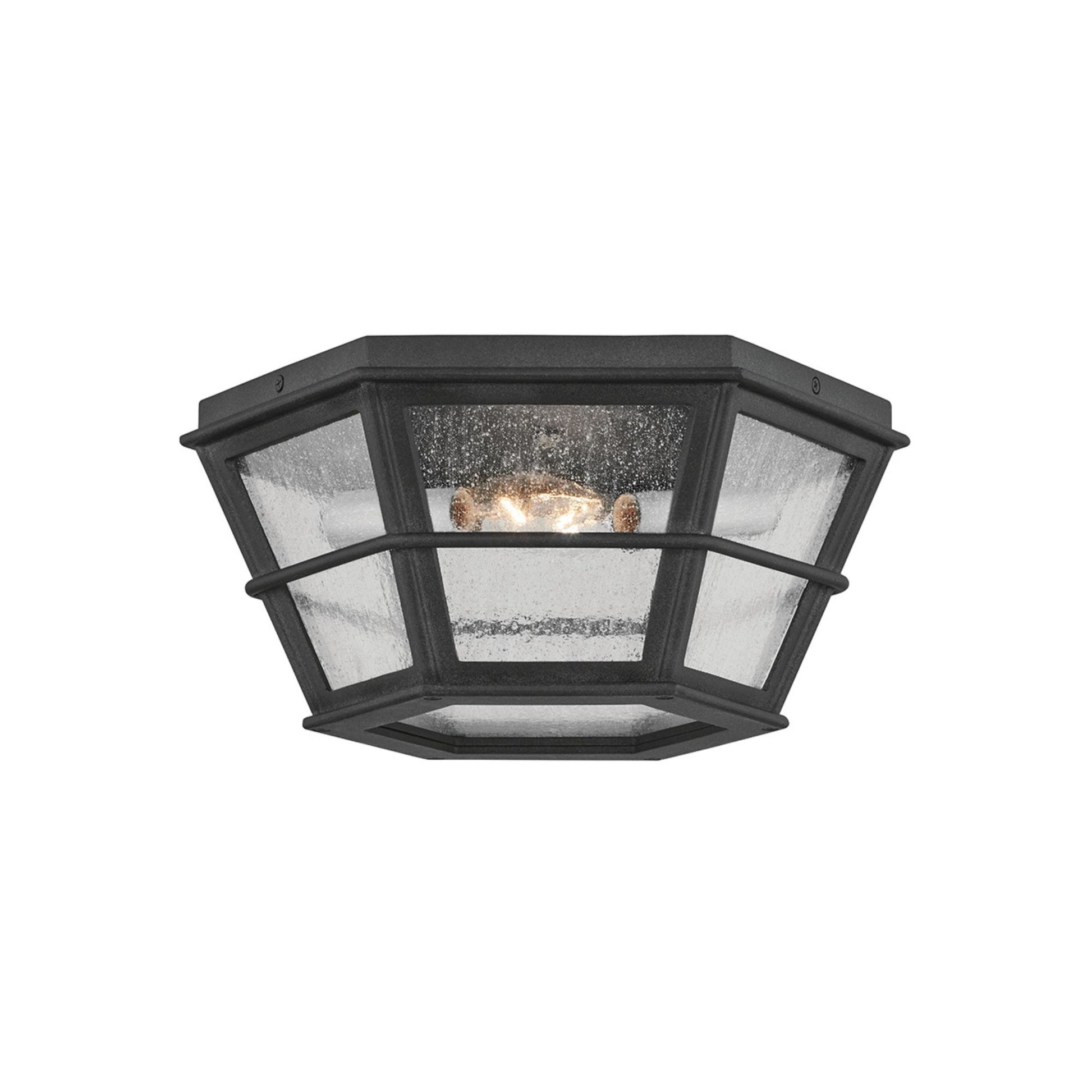 Troy Lighting - Lake County 14" 2-Light Outdoor Flush Mount, French Iron Finish | Bees Lighting