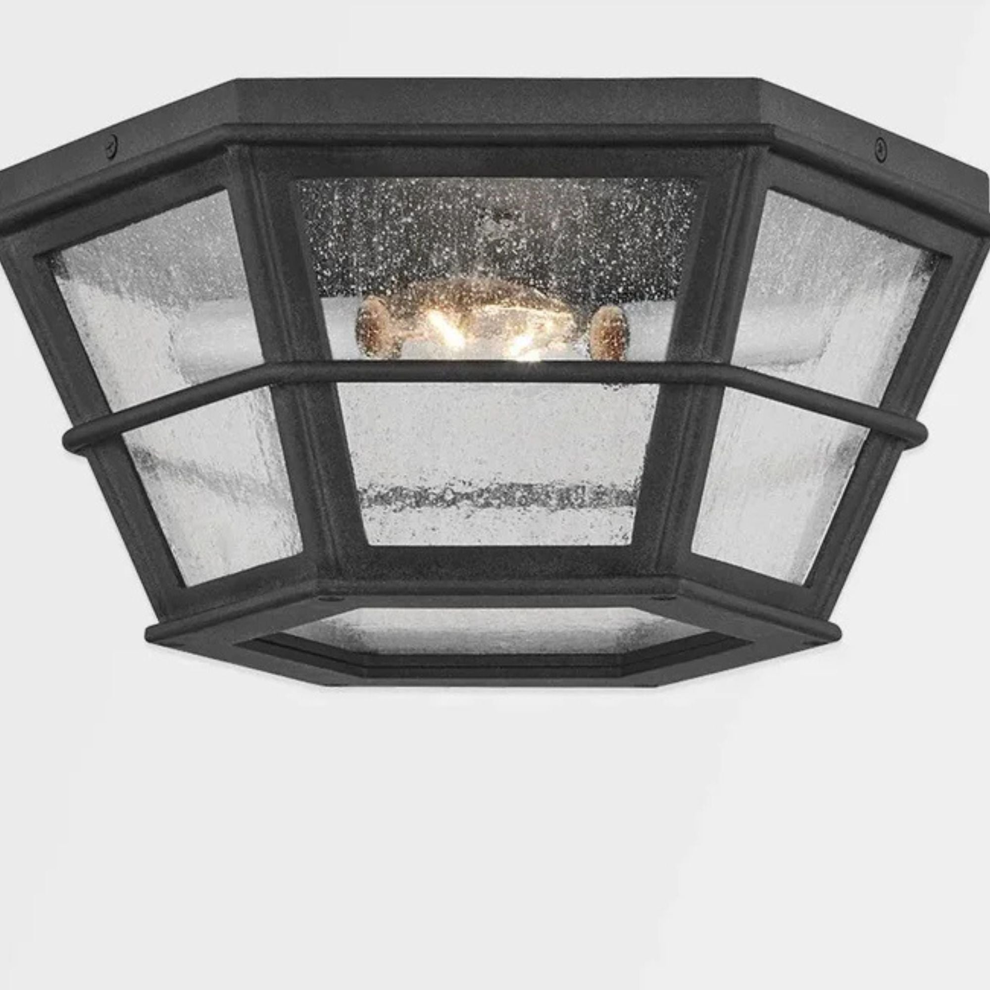 Troy Lighting - Lake County 14" 2-Light Outdoor Flush Mount, French Iron Finish | Bees Lighting