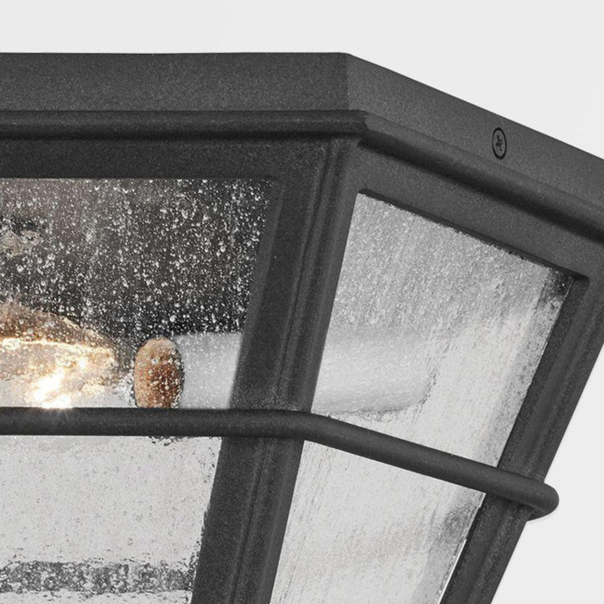 Troy Lighting - Lake County 14" 2-Light Outdoor Flush Mount, French Iron Finish | Bees Lighting