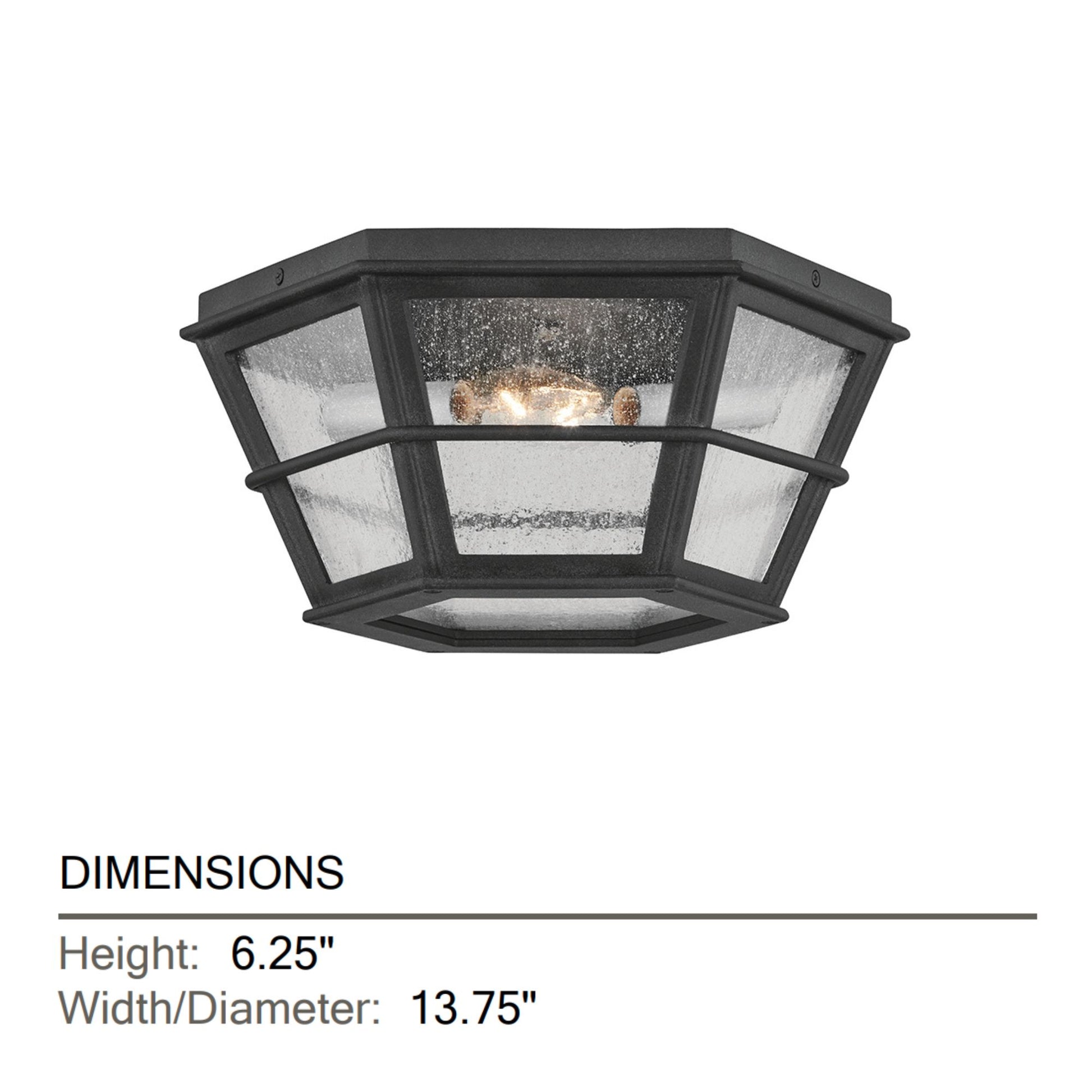 Troy Lighting - Lake County 14" 2-Light Outdoor Flush Mount, French Iron Finish | Bees Lighting