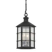 Troy Lighting - Lake County 26" 4-Light Outdoor Lantern, French Iron Finish | Bees Lighting